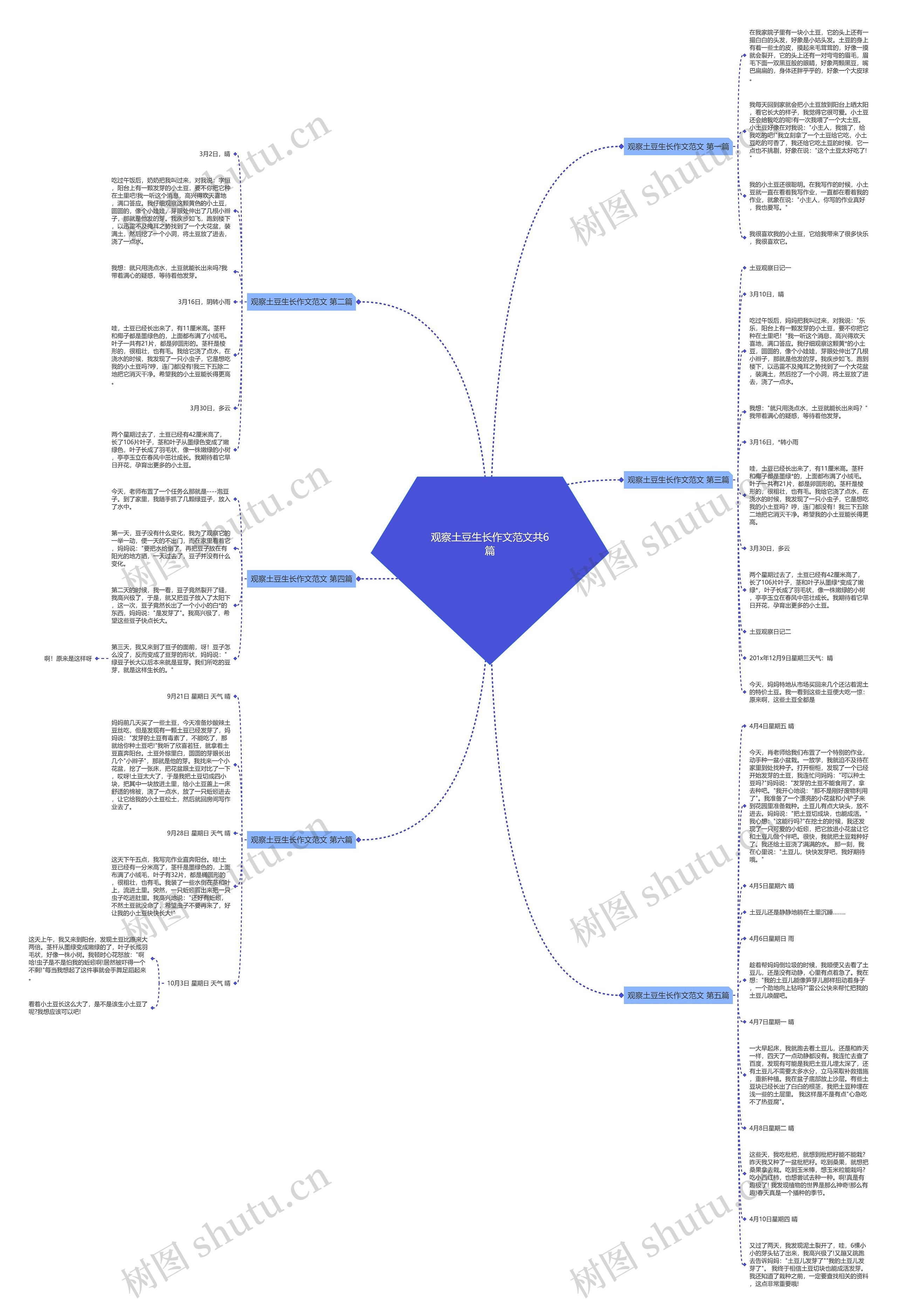 观察土豆生长作文范文共6篇思维导图