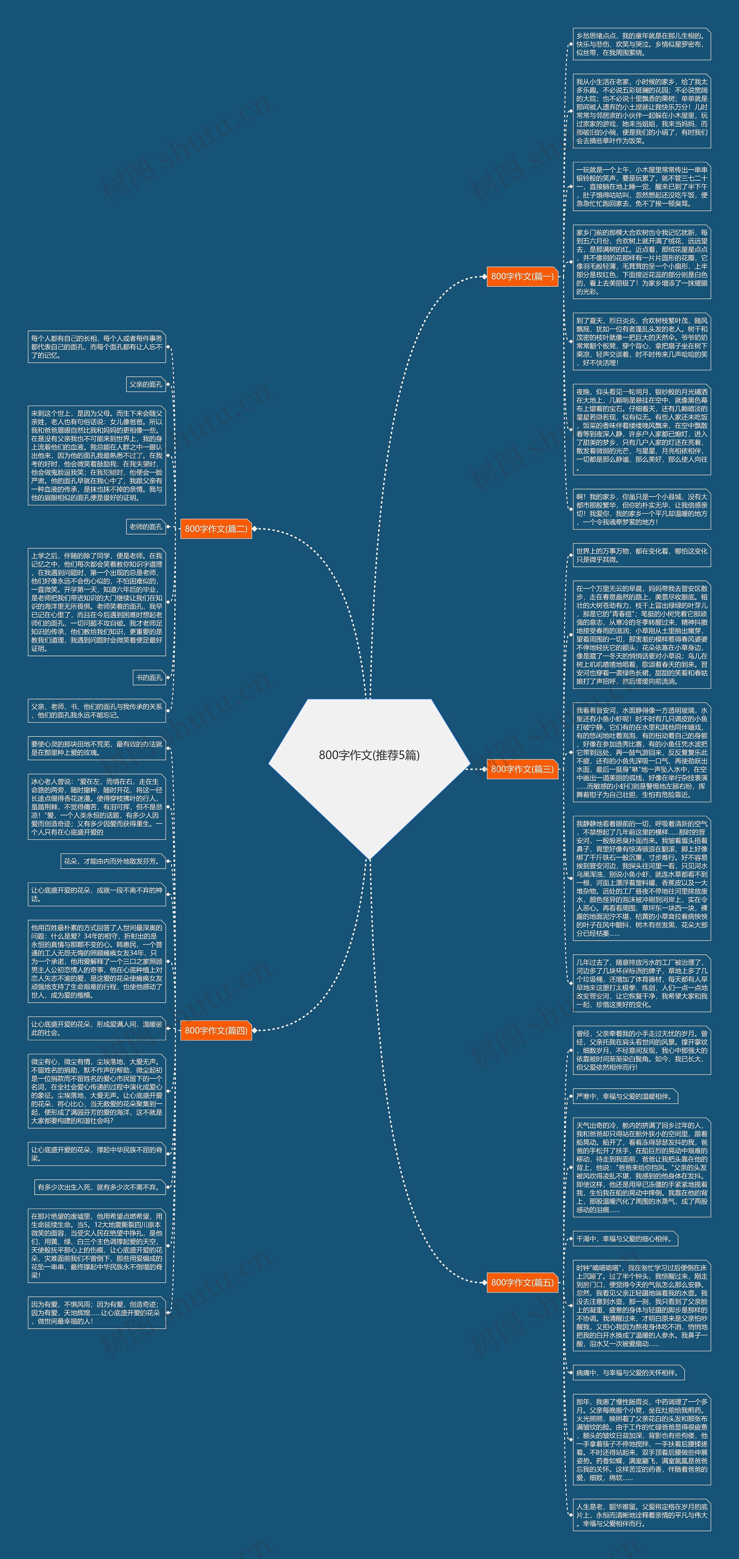 800字作文(推荐5篇)思维导图