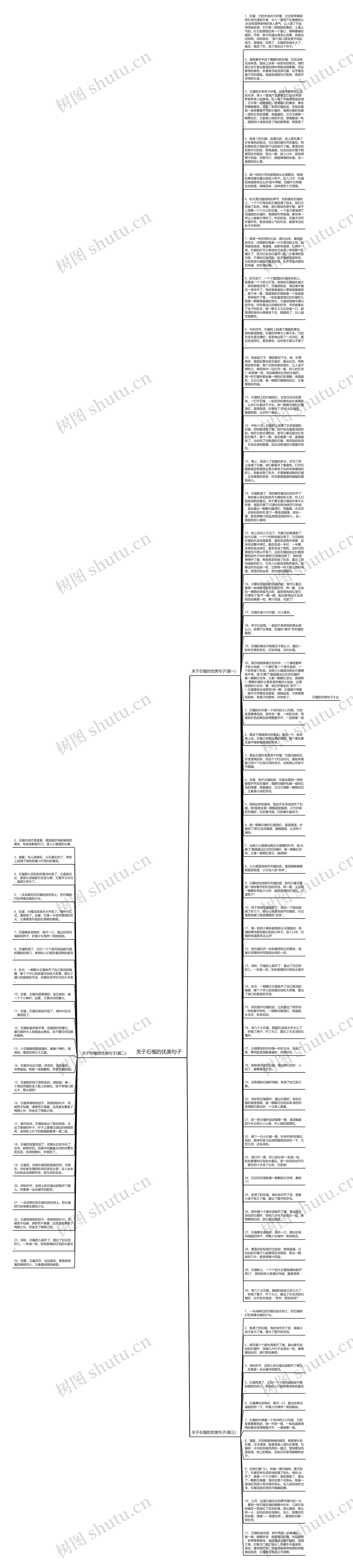 关于石榴的优美句子思维导图