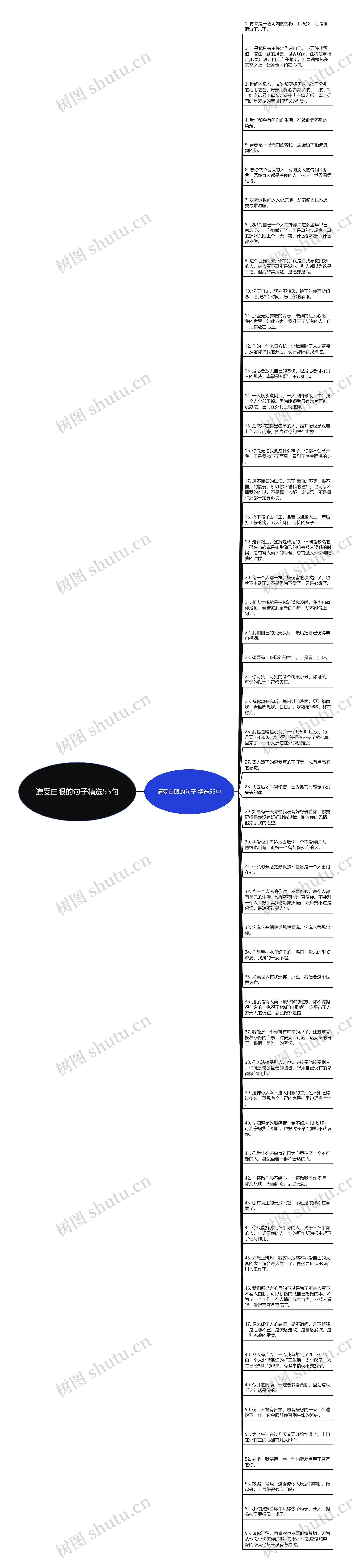 遭受白眼的句子精选55句思维导图