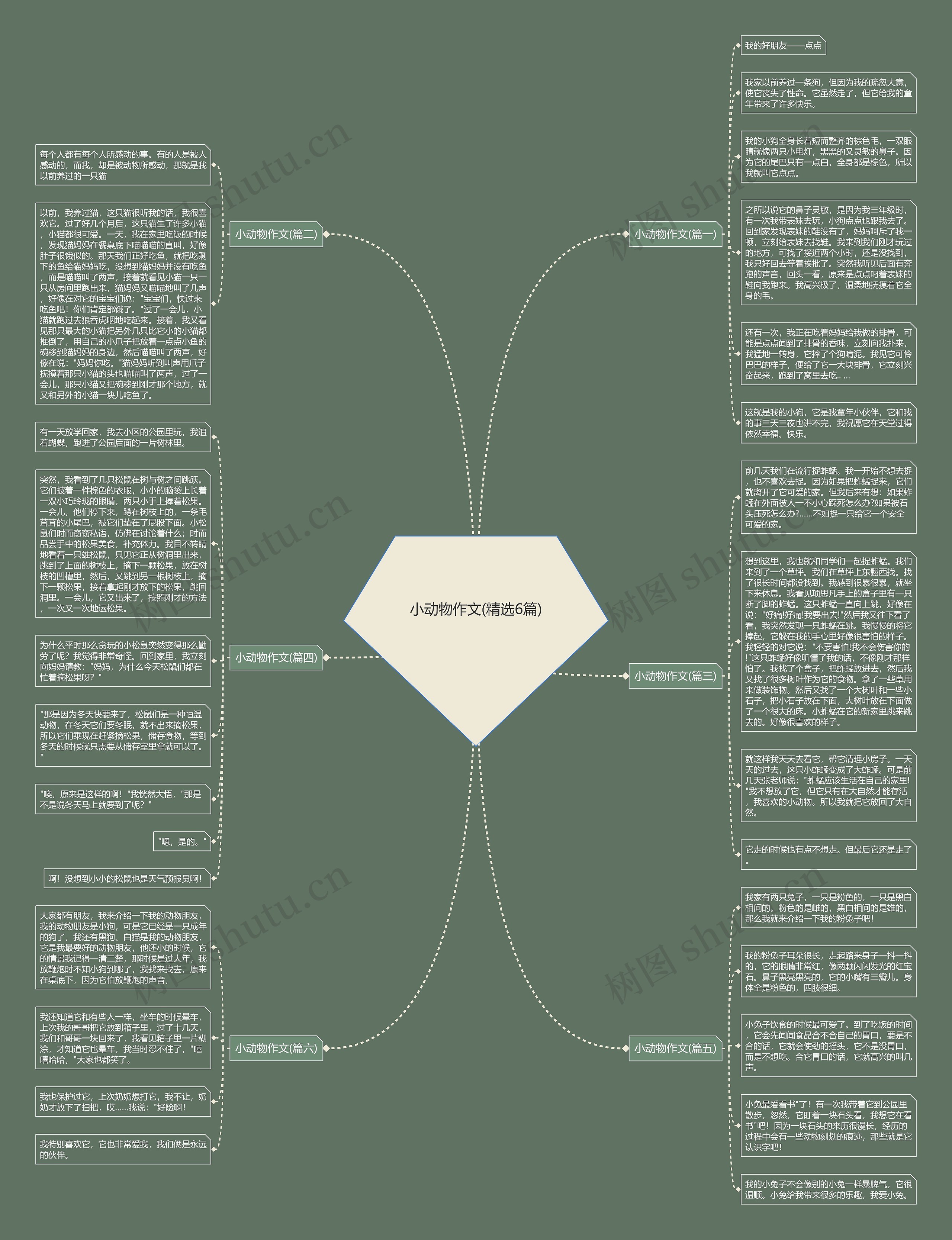 小动物作文(精选6篇)思维导图