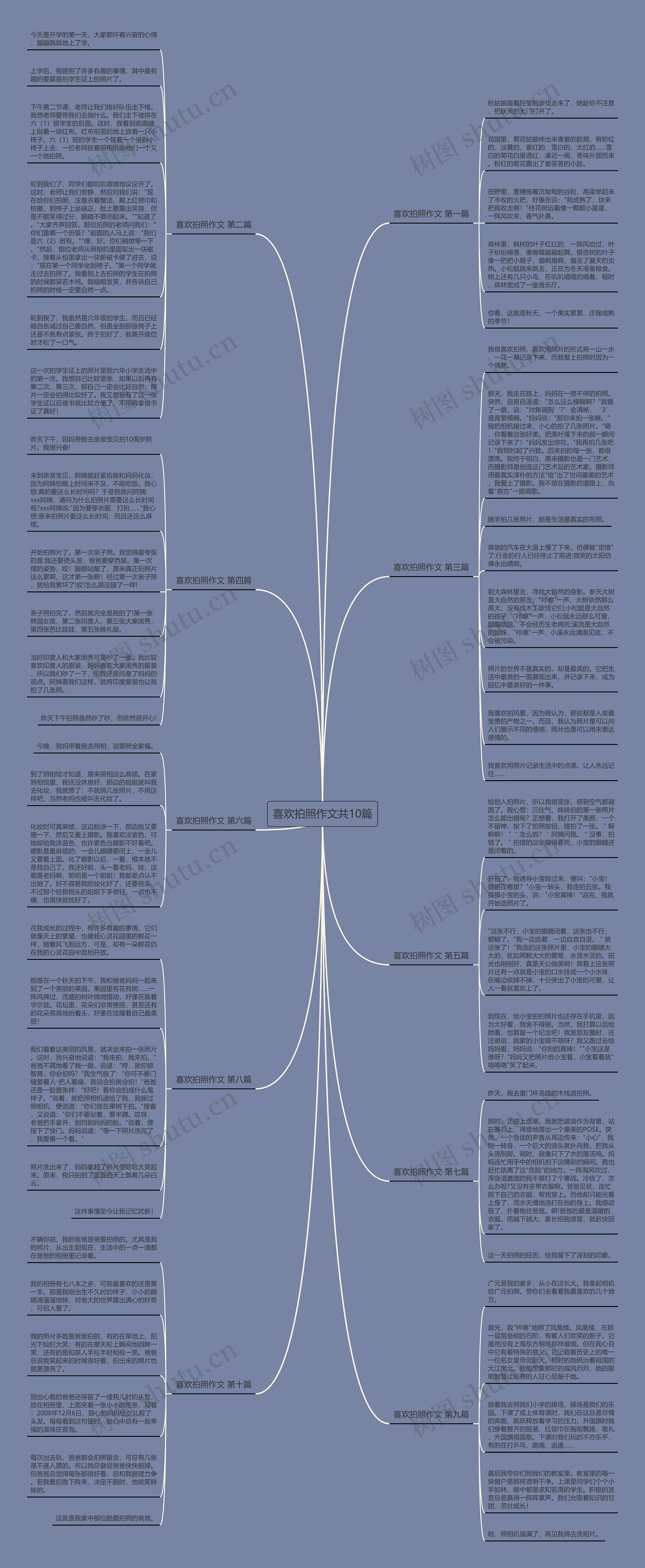 喜欢拍照作文共10篇思维导图