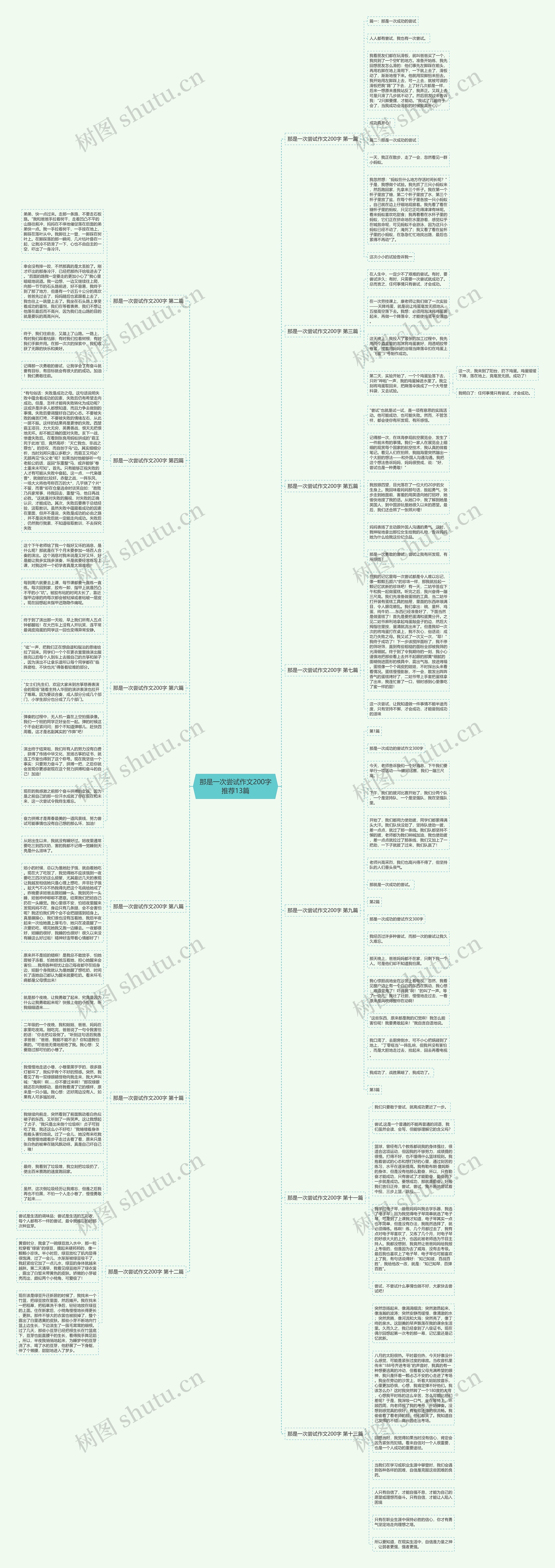 那是一次尝试作文200字推荐13篇思维导图