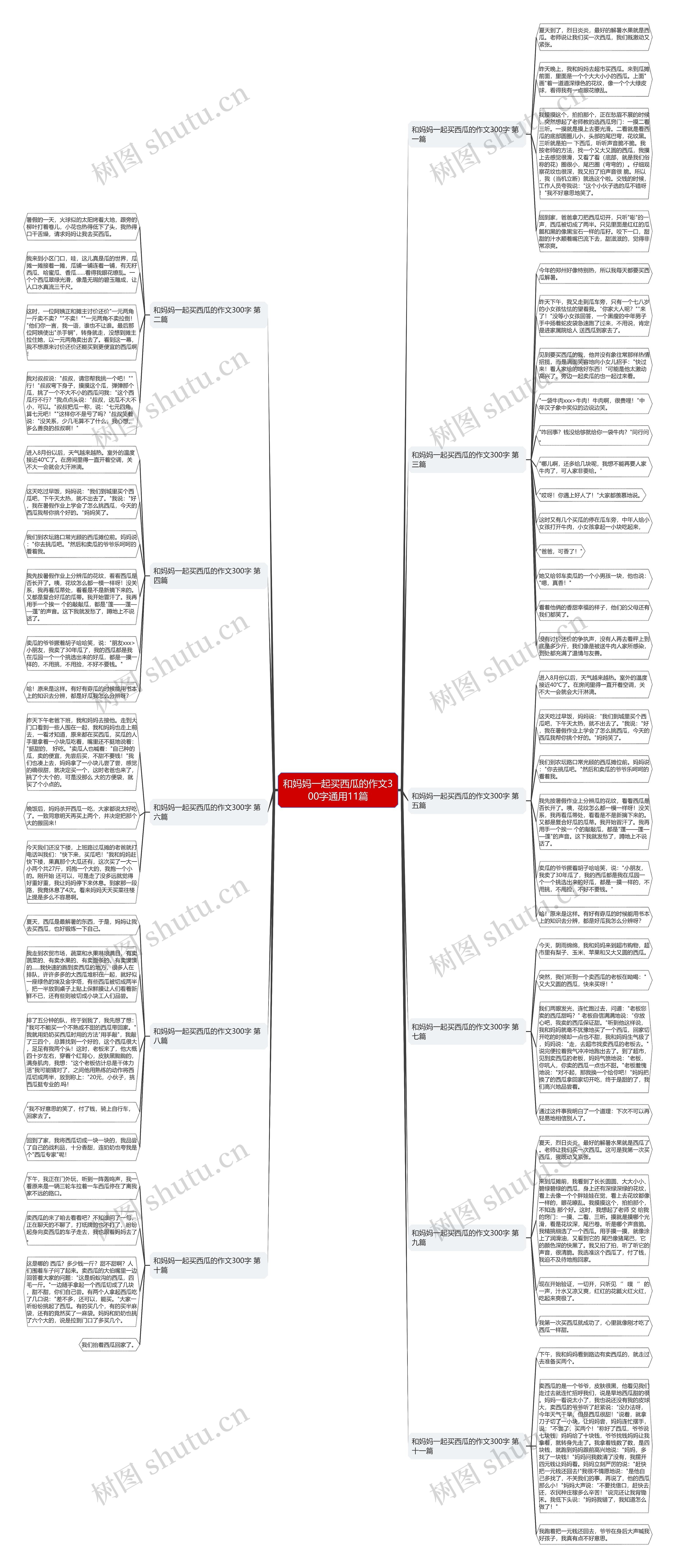 和妈妈一起买西瓜的作文300字通用11篇 和妈妈一起买西瓜的作文300字通用11篇