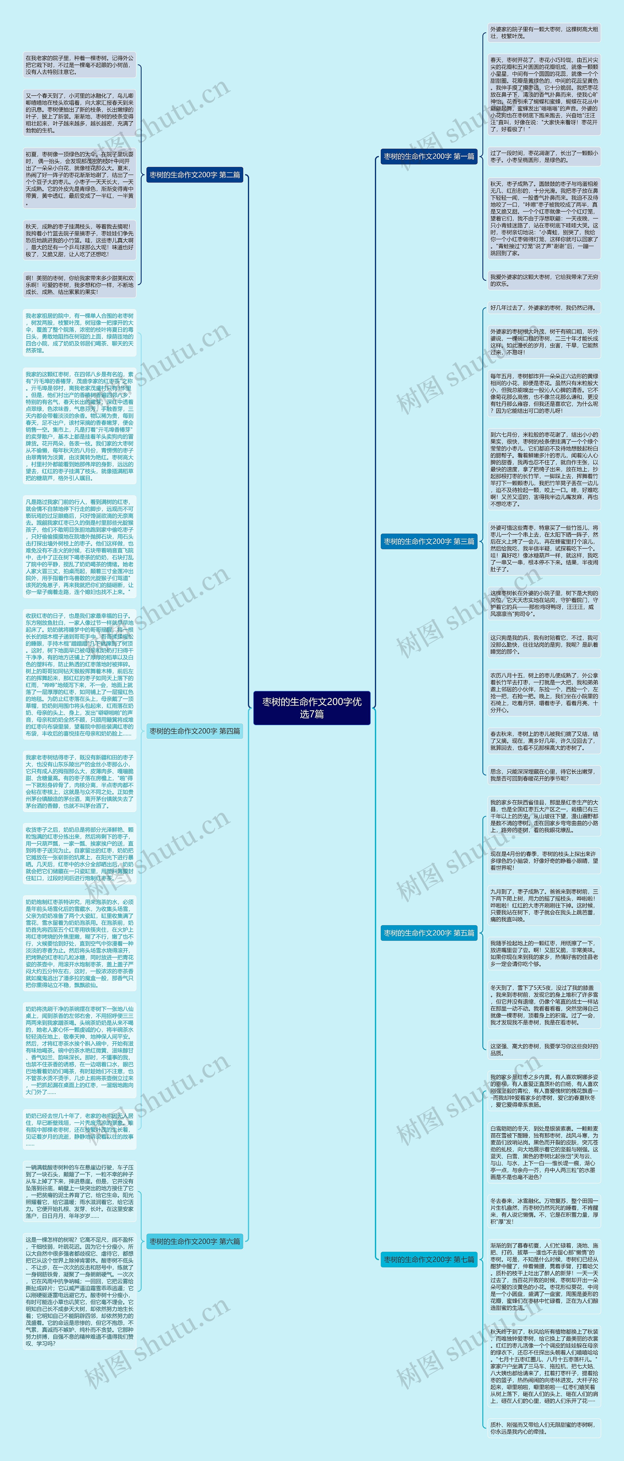 枣树的生命作文200字优选7篇思维导图