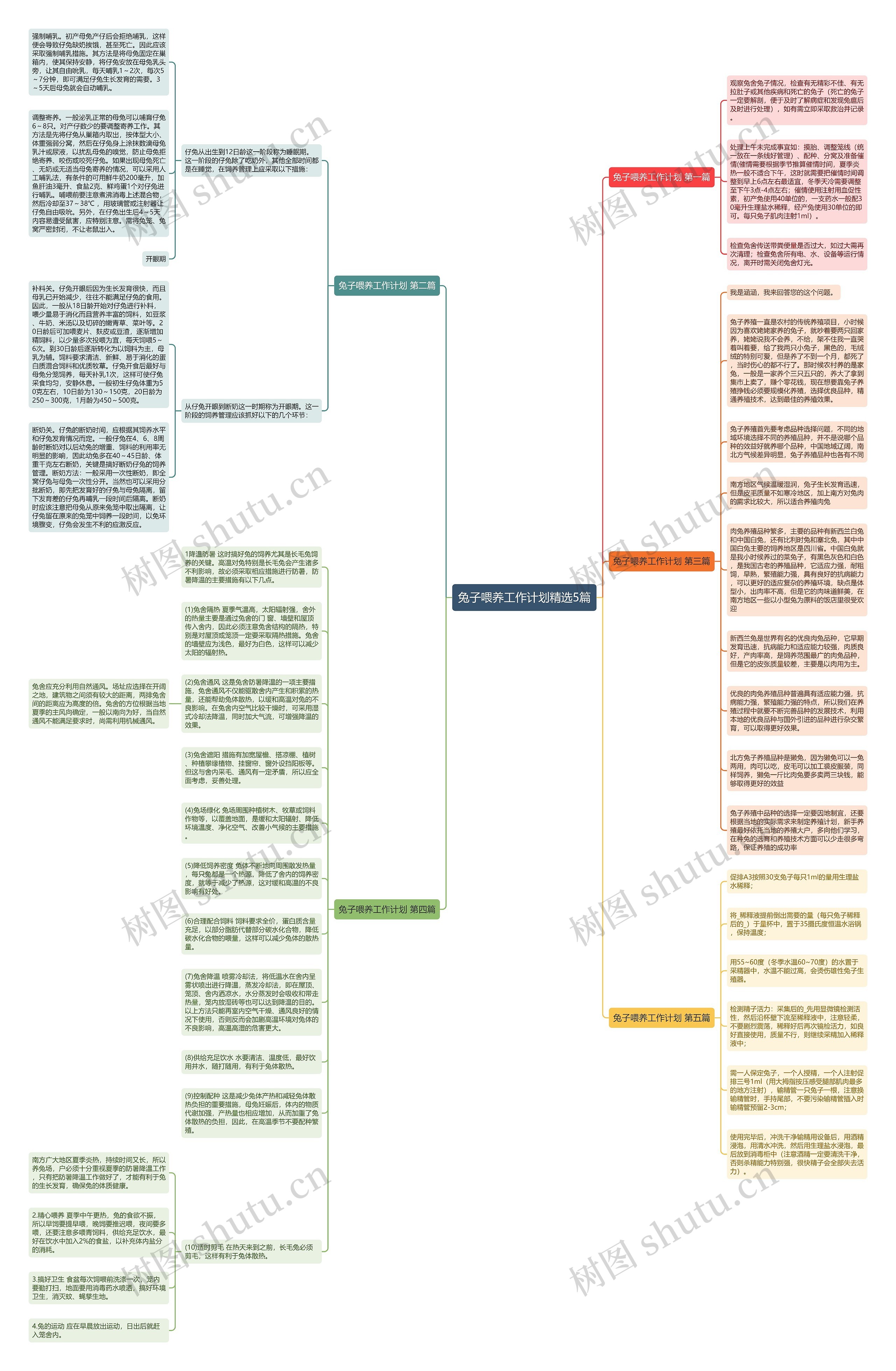 兔子喂养工作计划精选5篇思维导图