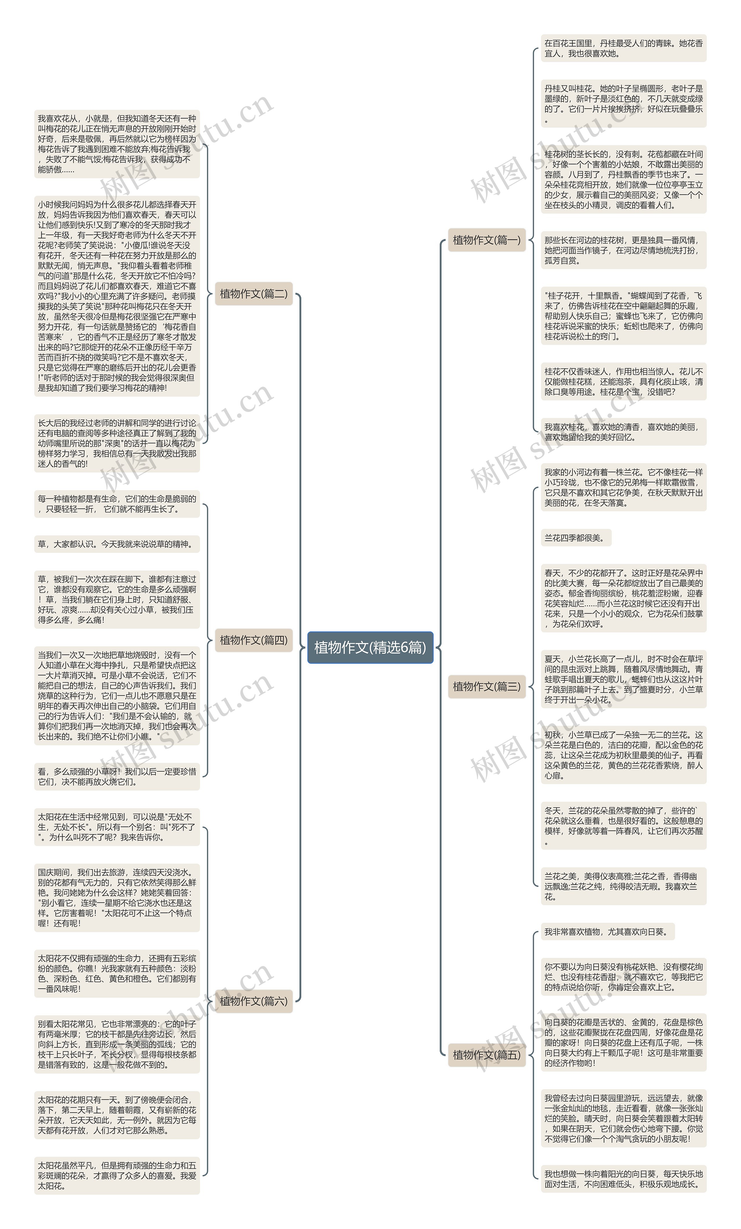 植物作文(精选6篇) 植物作文(精选6篇)