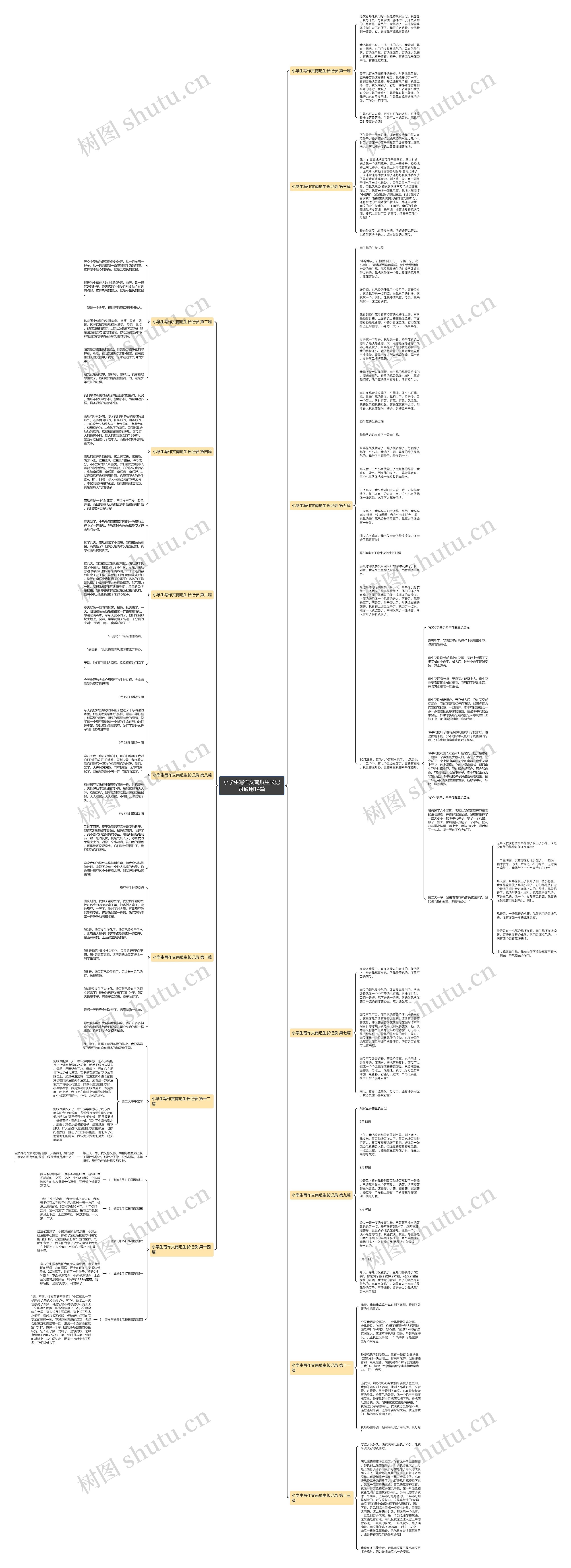 小学生写作文南瓜生长记录通用14篇思维导图