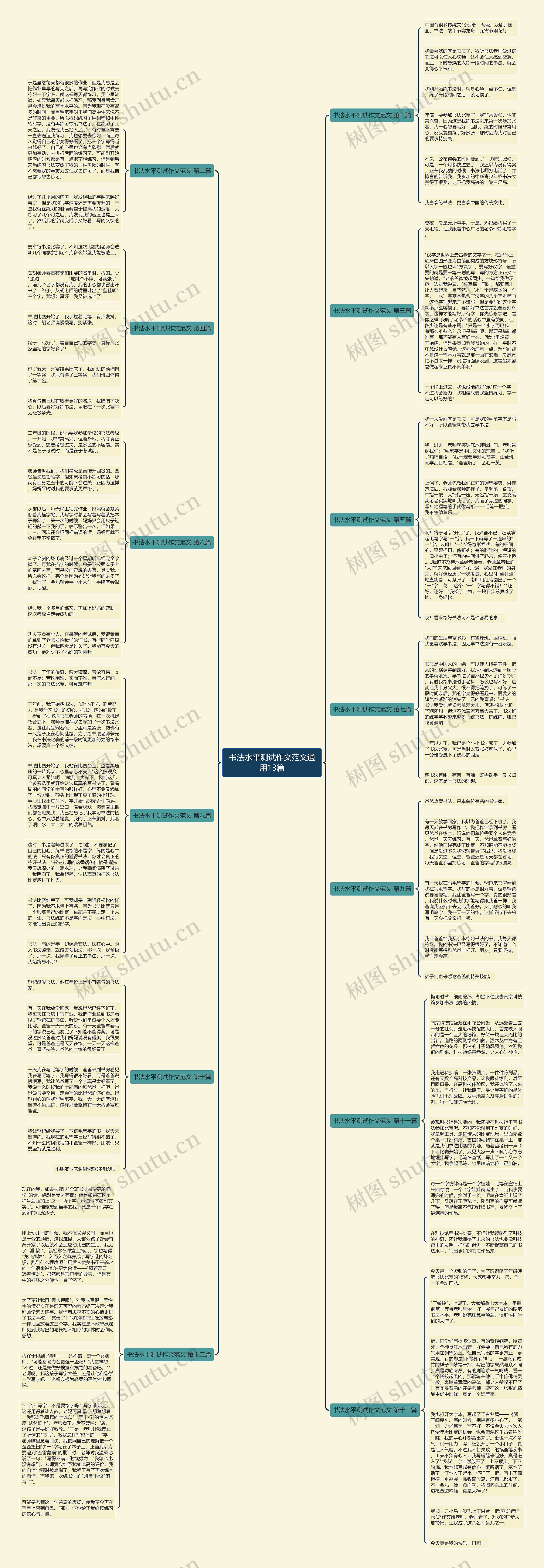 书法水平测试作文范文通用13篇思维导图