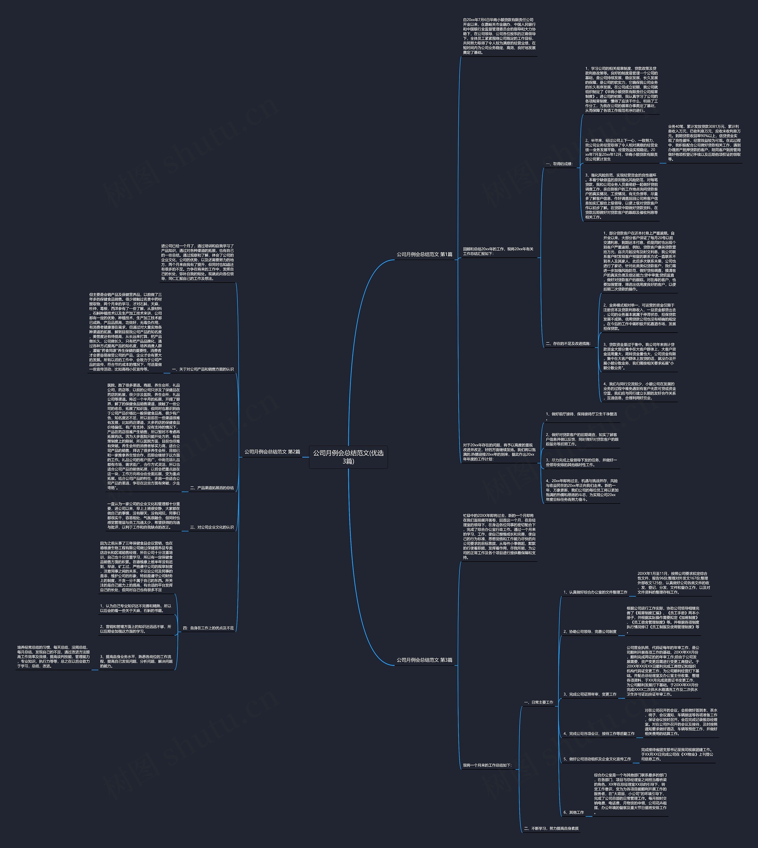 公司月例会总结范文(优选3篇)思维导图