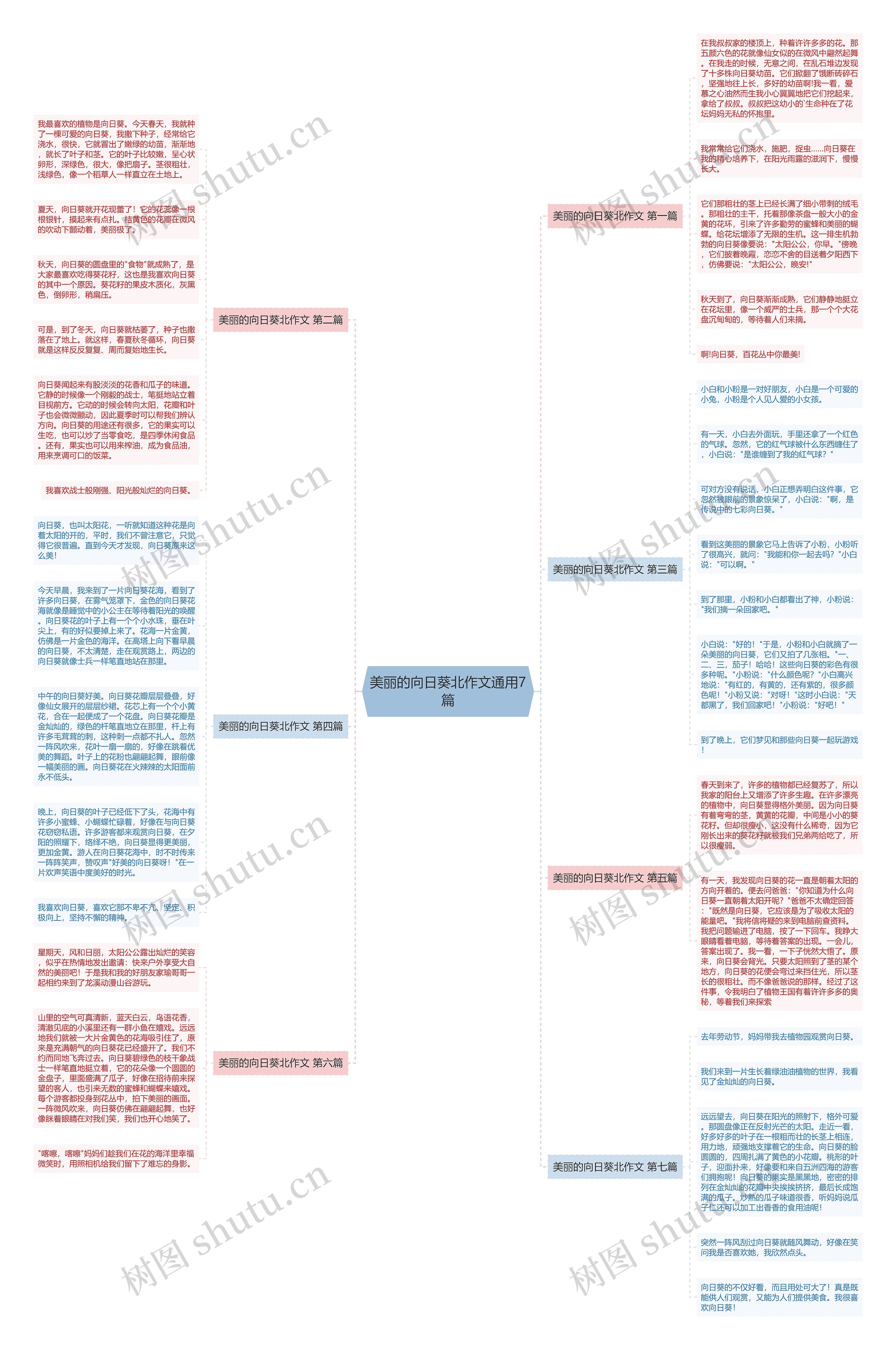 美丽的向日葵北作文通用7篇思维导图