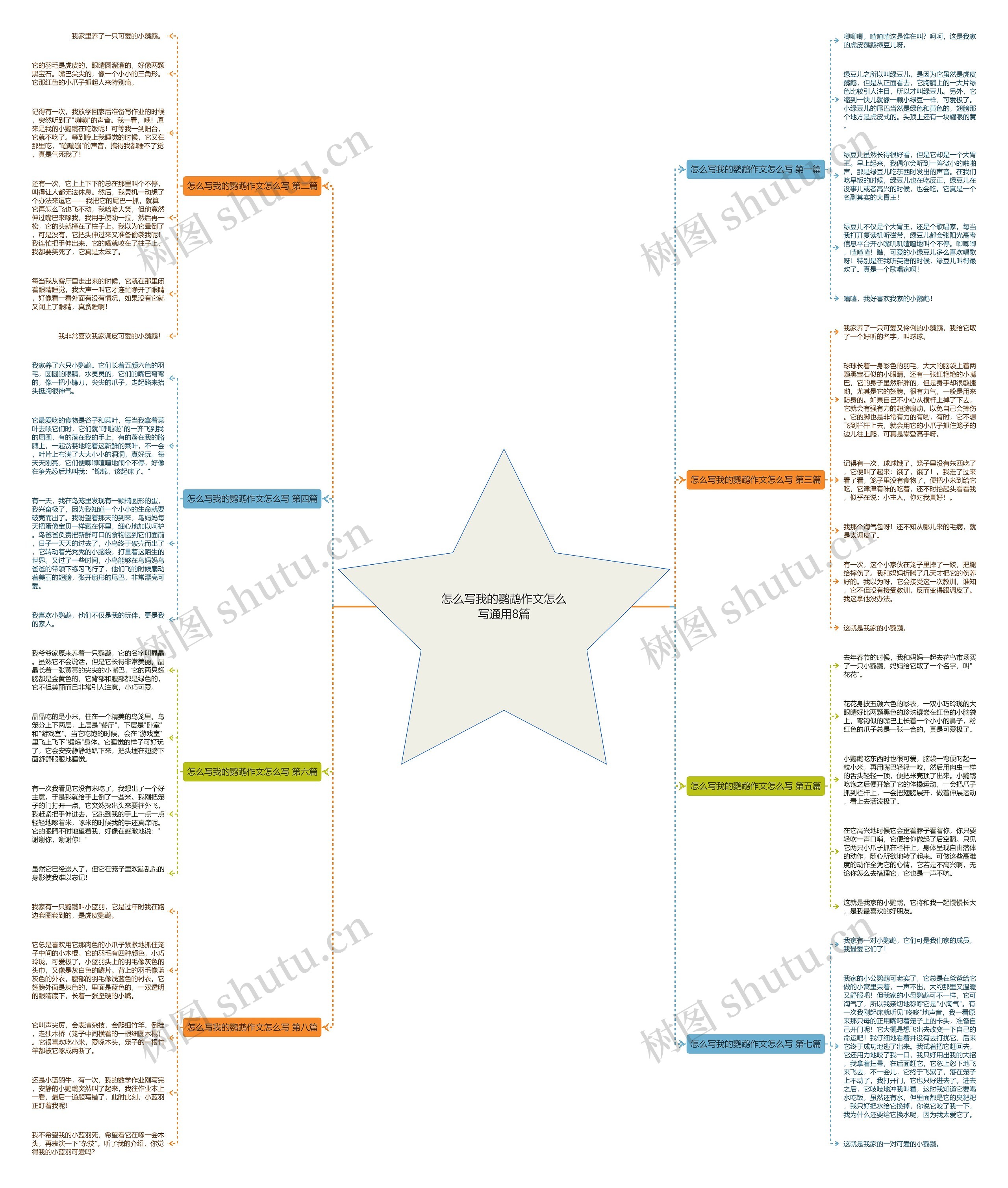 怎么写我的鹦鹉作文怎么写通用8篇