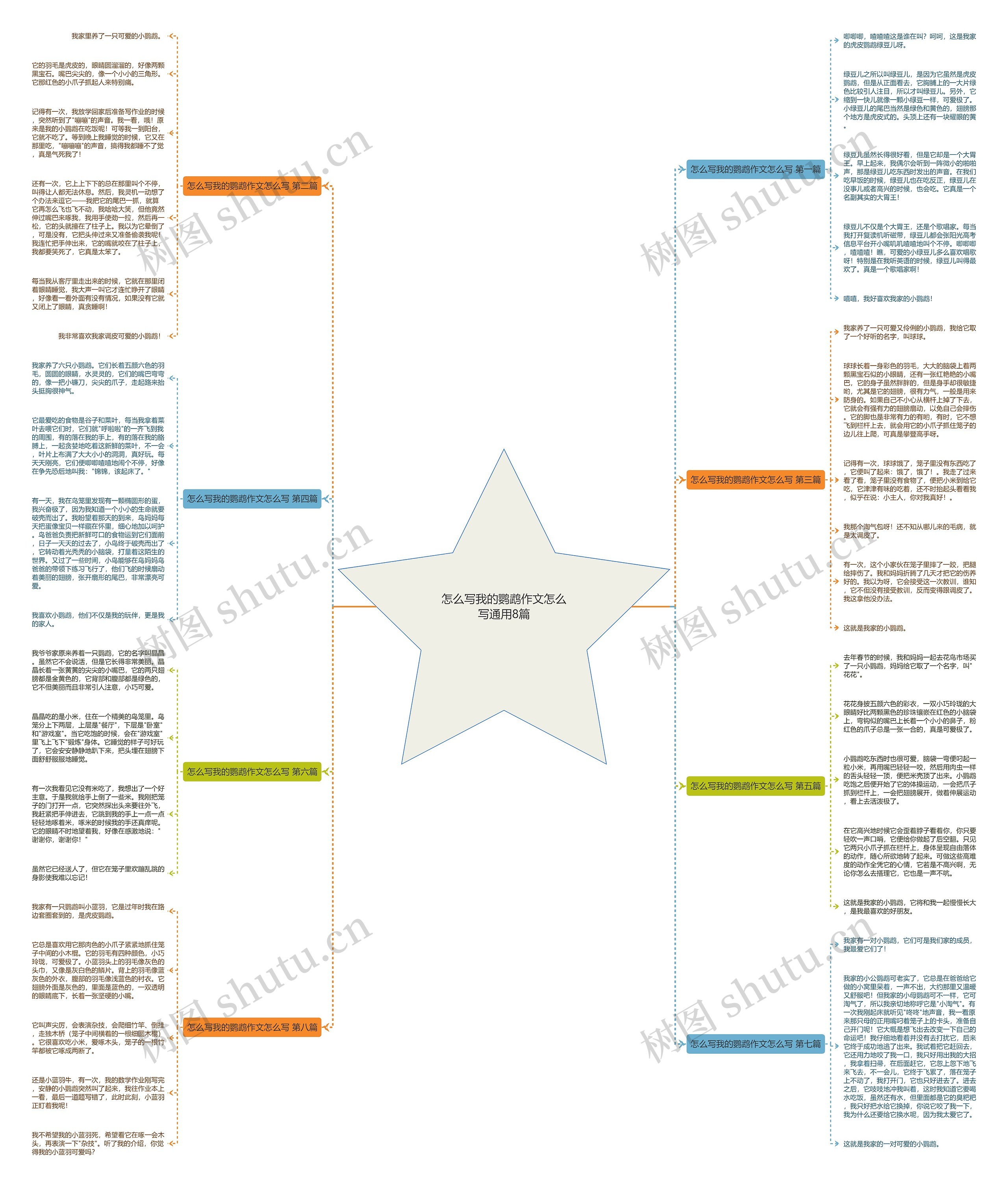 怎么写我的鹦鹉作文怎么写通用8篇 怎么写我的鹦鹉作文怎么写通用8篇