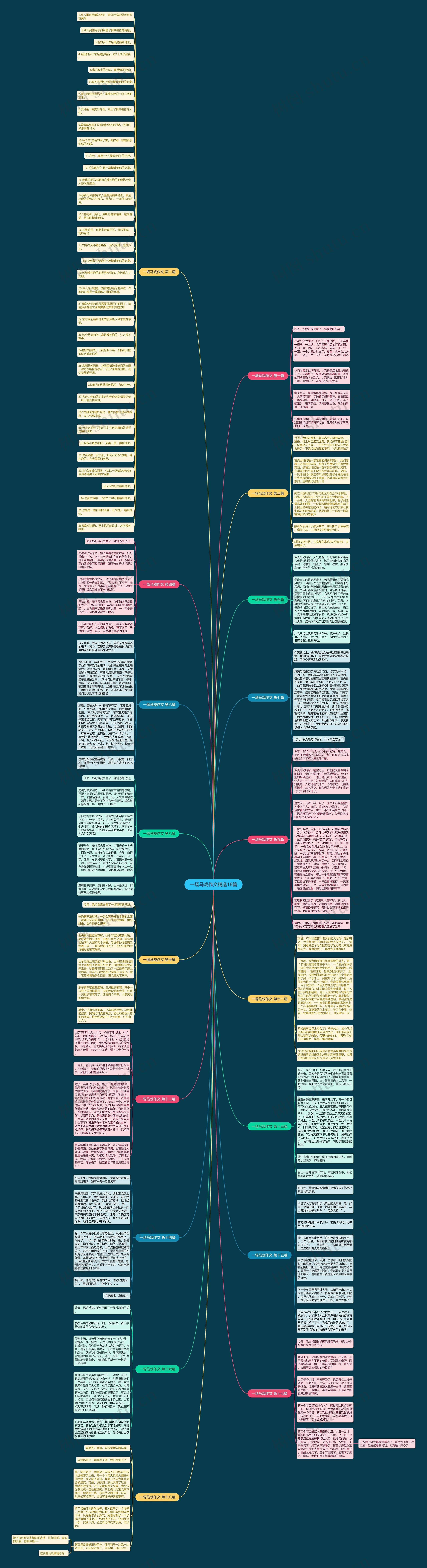 一场马戏作文精选18篇 一场马戏作文精选18篇