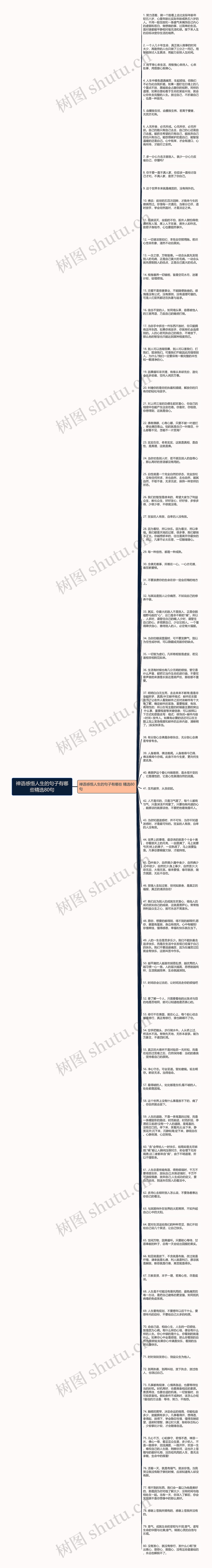 禅语感悟人生的句子有哪些精选80句