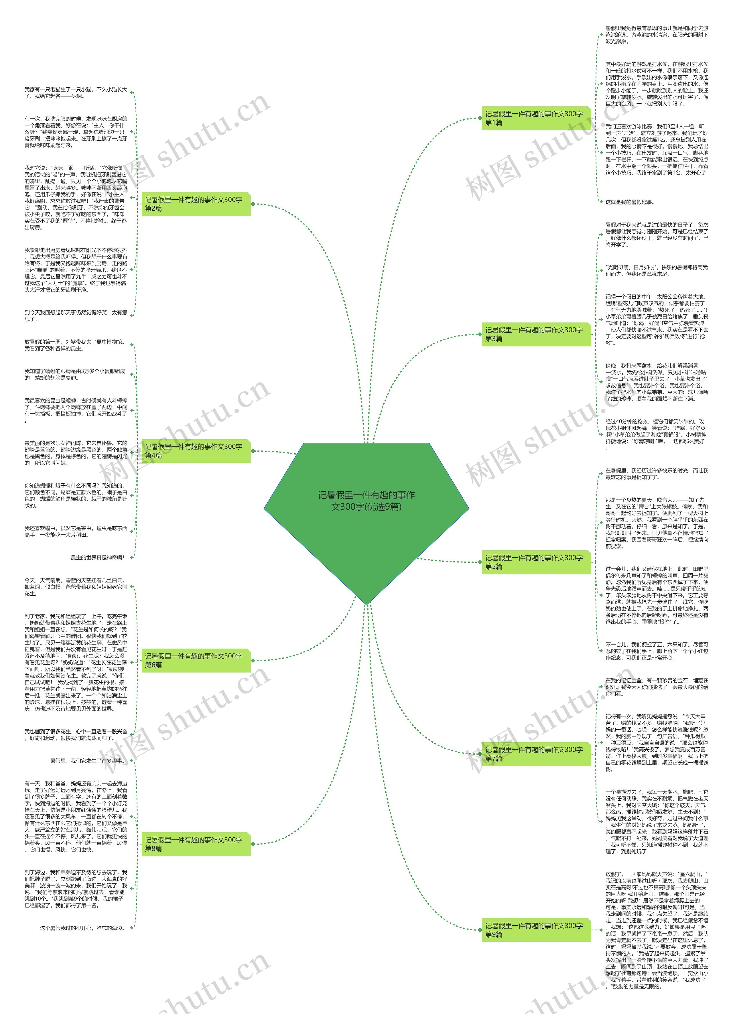 记暑假里一件有趣的事作文300字(优选9篇)思维导图