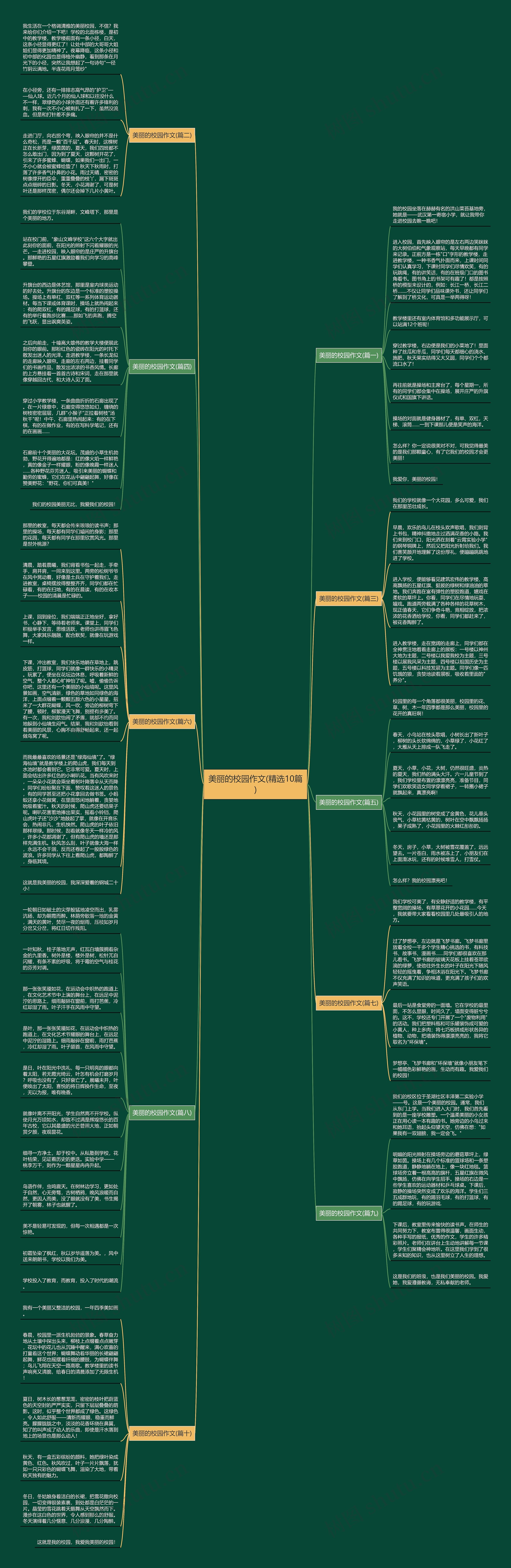 美丽的校园作文(精选10篇)思维导图