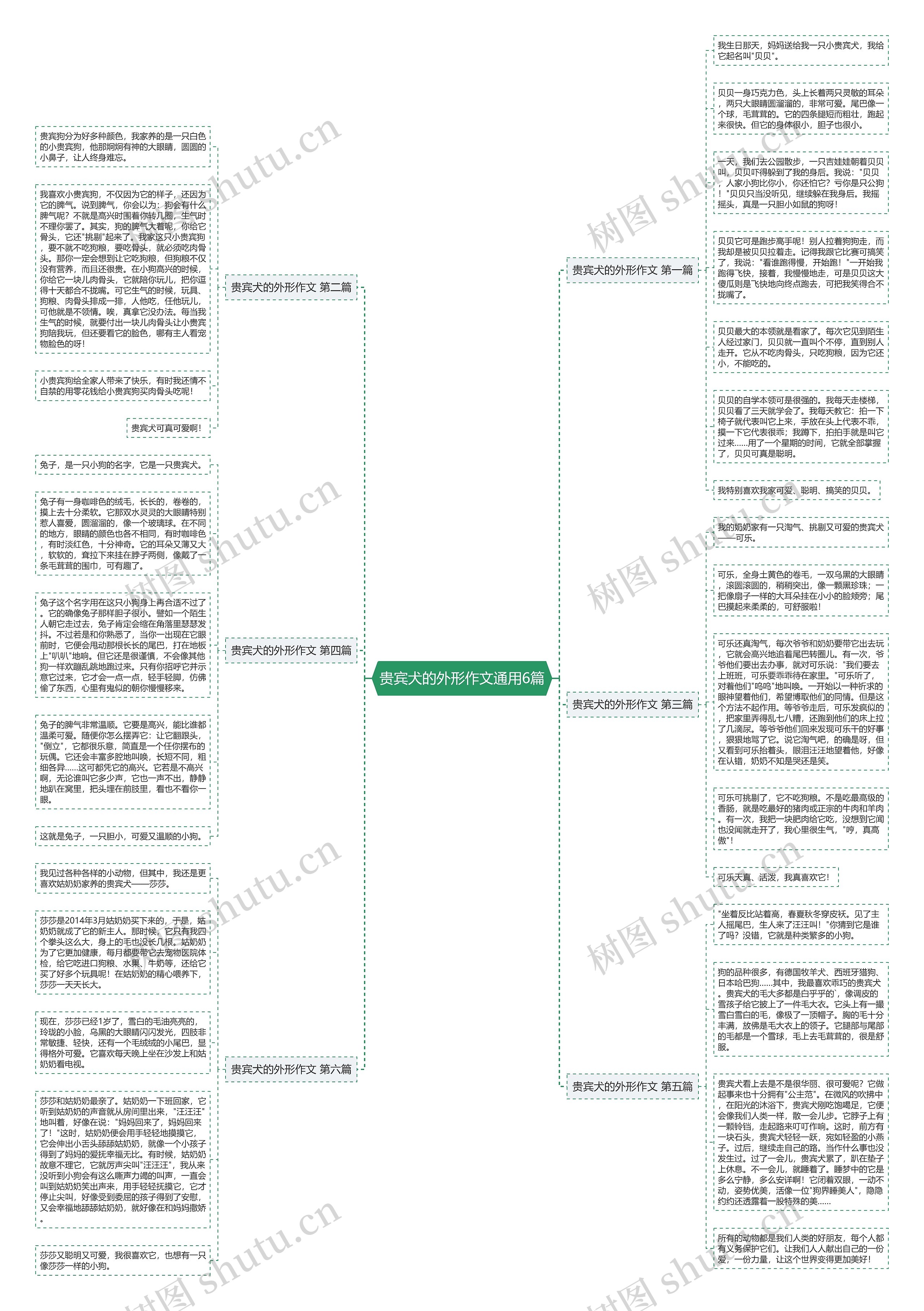 贵宾犬的外形作文通用6篇思维导图