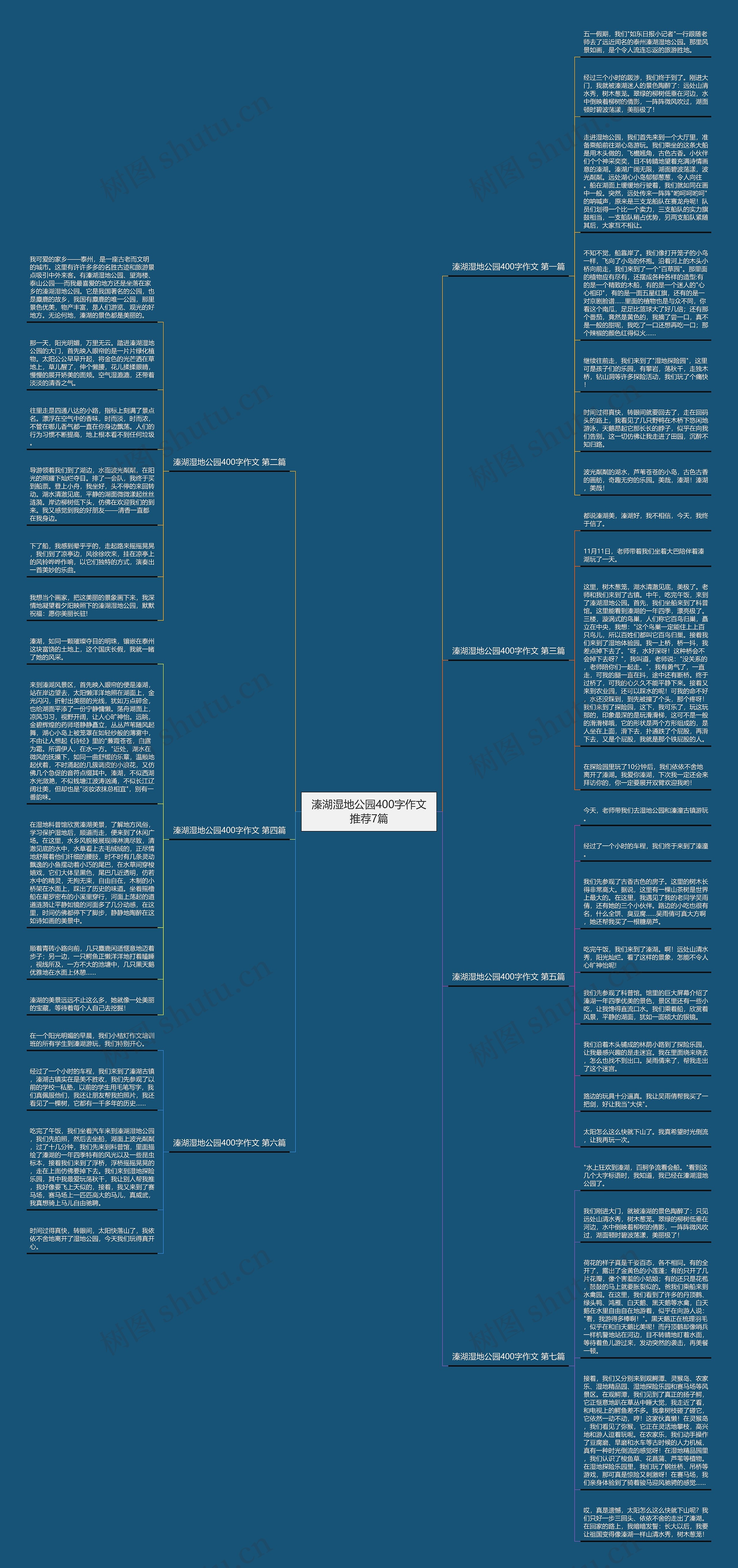 溱湖湿地公园400字作文推荐7篇思维导图