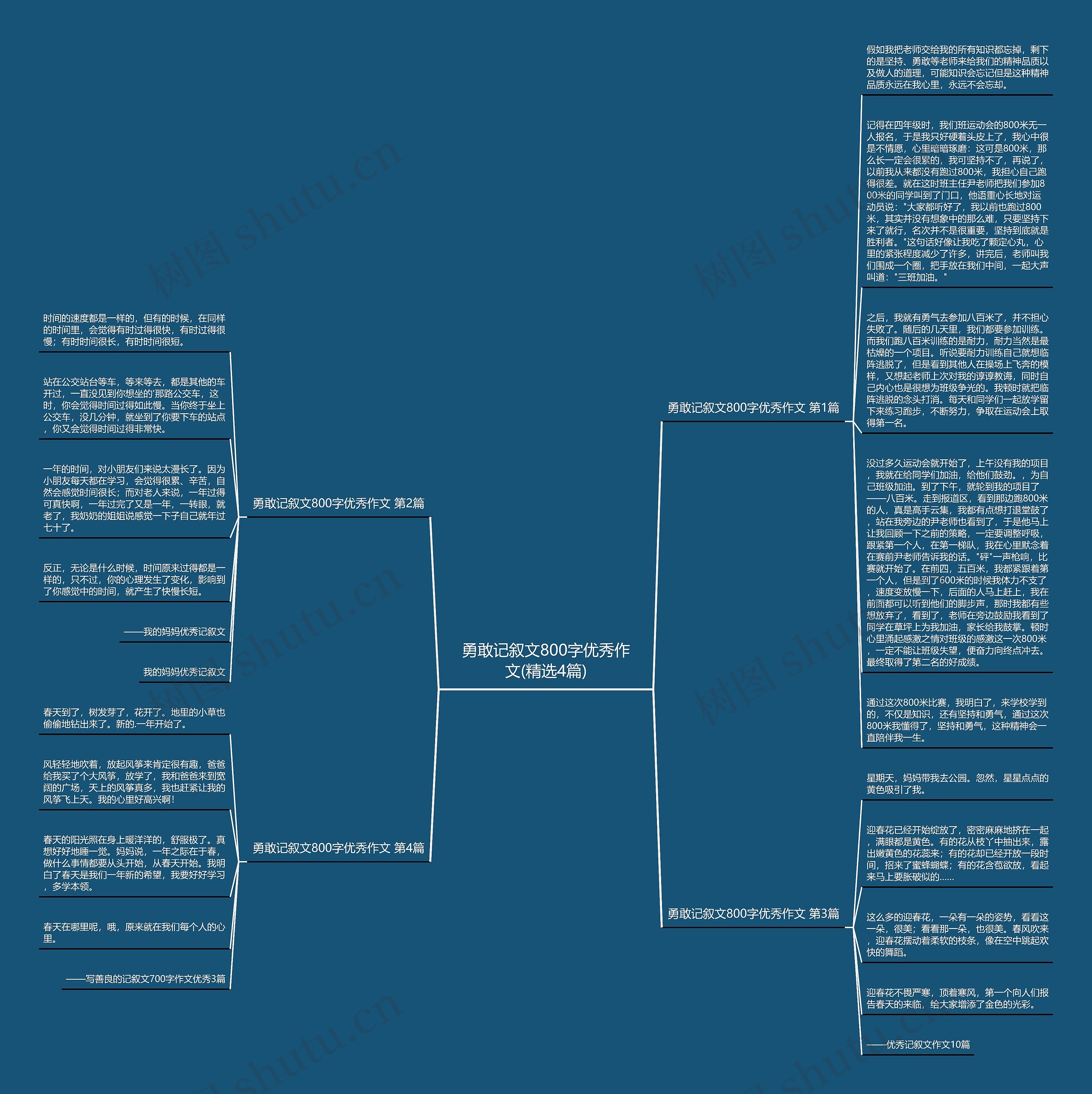 勇敢记叙文800字优秀作文(精选4篇)思维导图