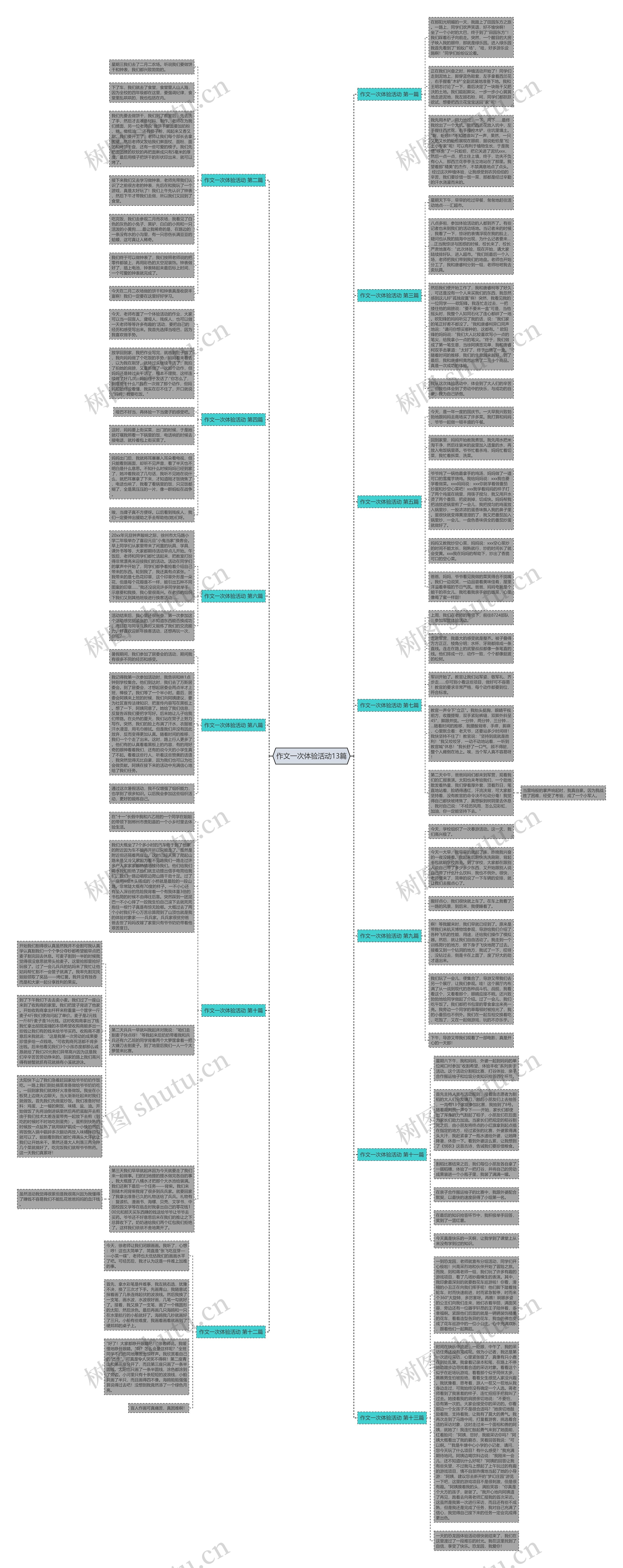 作文一次体验活动13篇思维导图