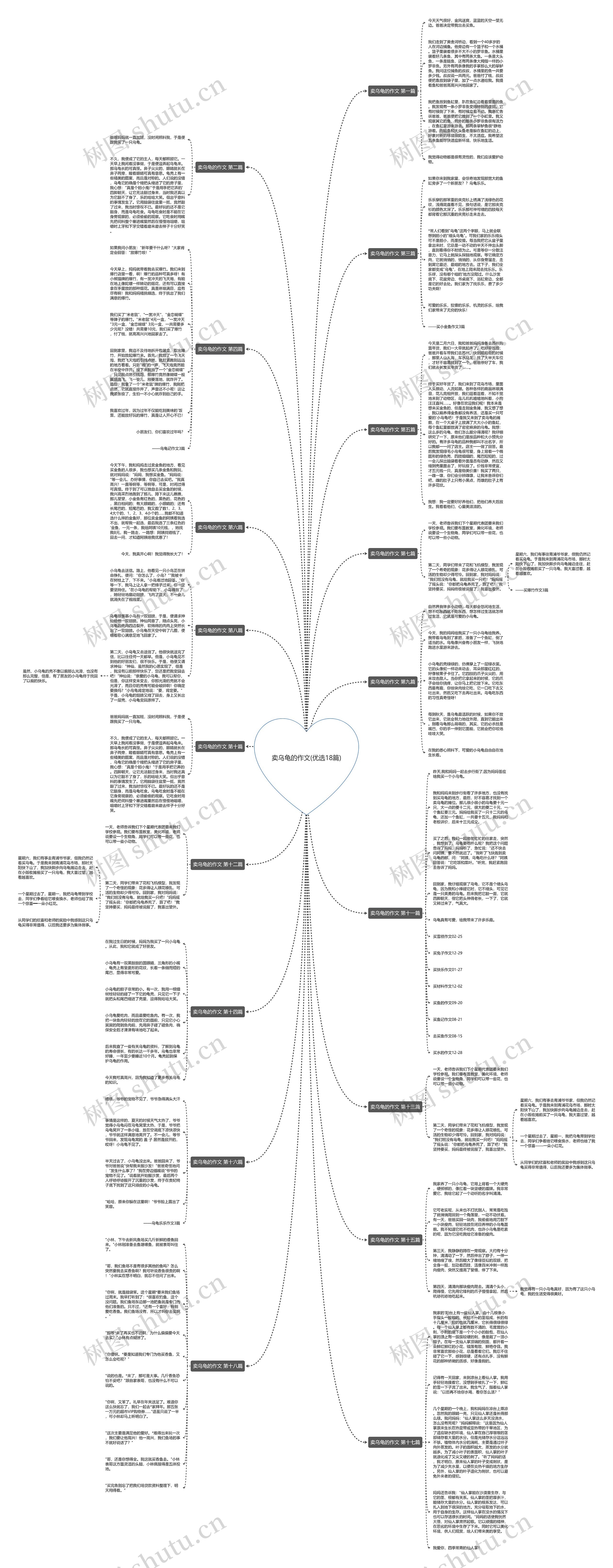 卖乌龟的作文(优选18篇)思维导图