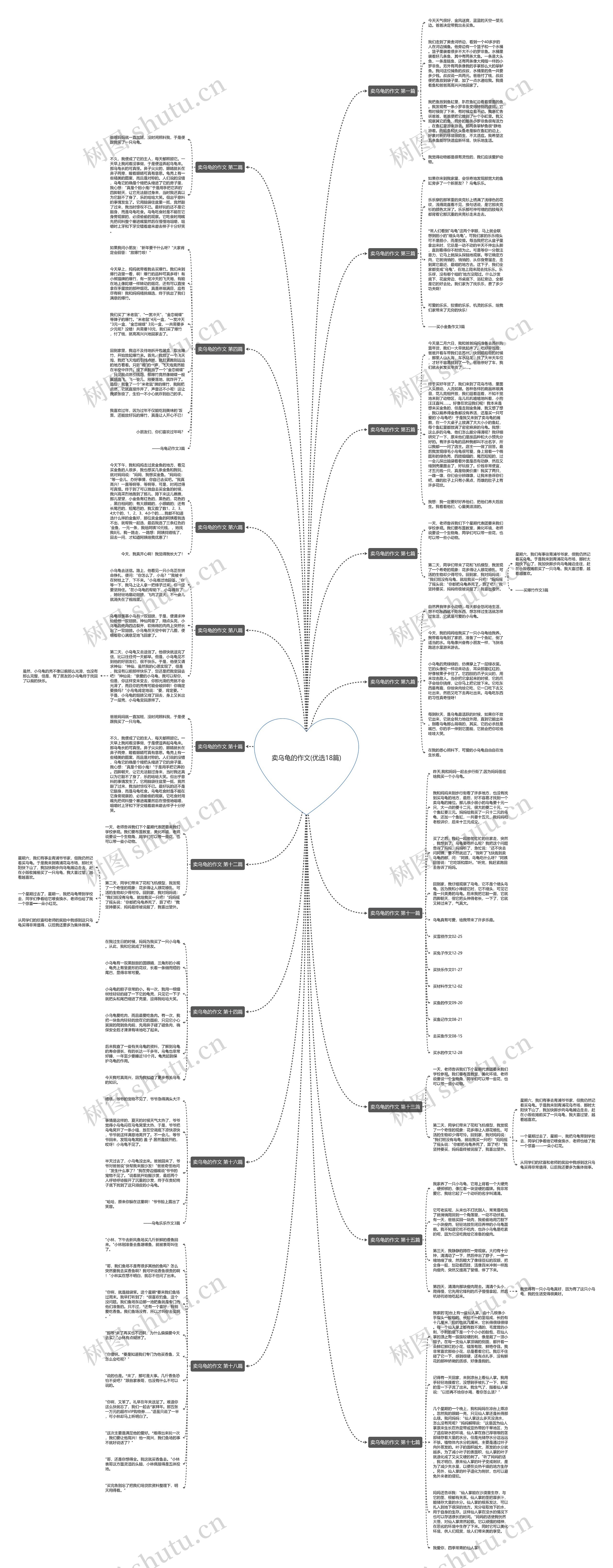 卖乌龟的作文(优选18篇) 卖乌龟的作文(优选18篇)