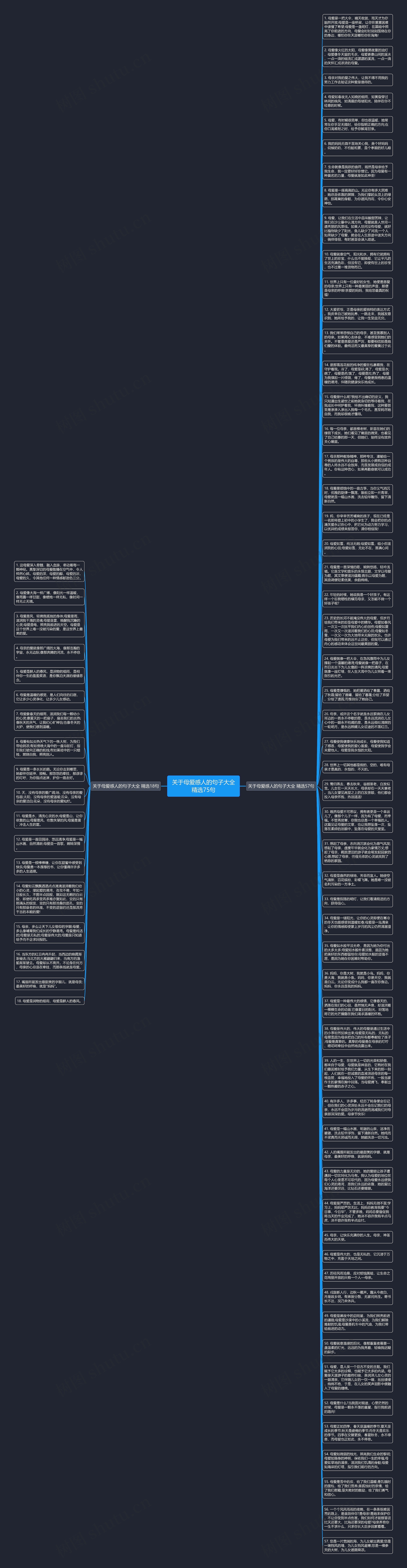关于母爱感人的句子大全精选75句思维导图