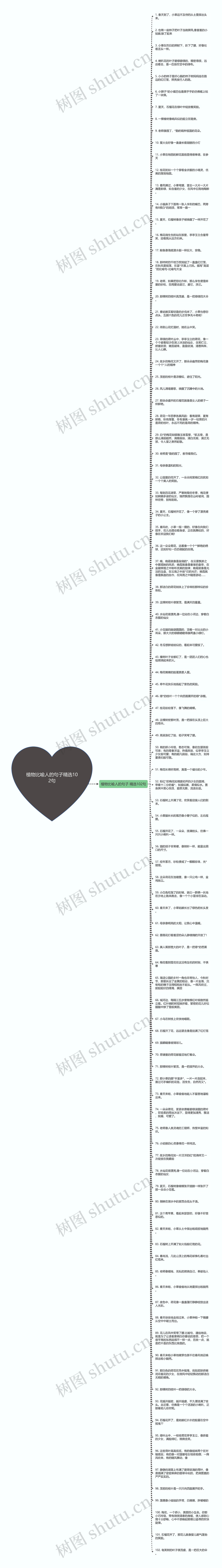 植物比喻人的句子精选102句思维导图