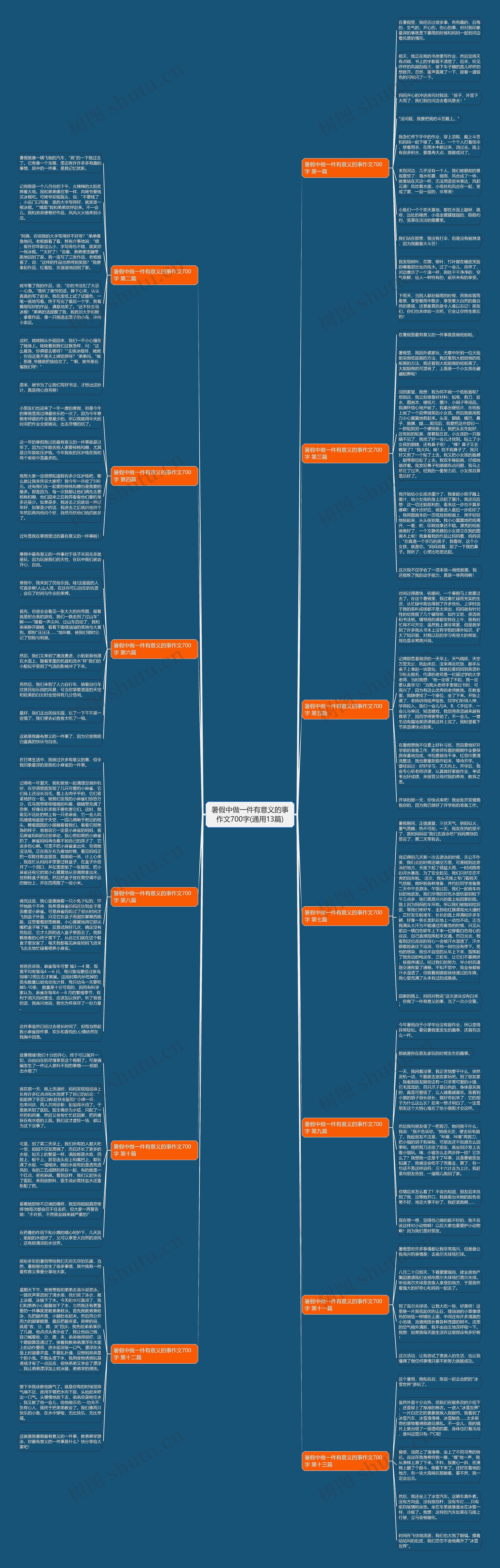 暑假中做一件有意义的事作文700字(通用13篇)思维导图