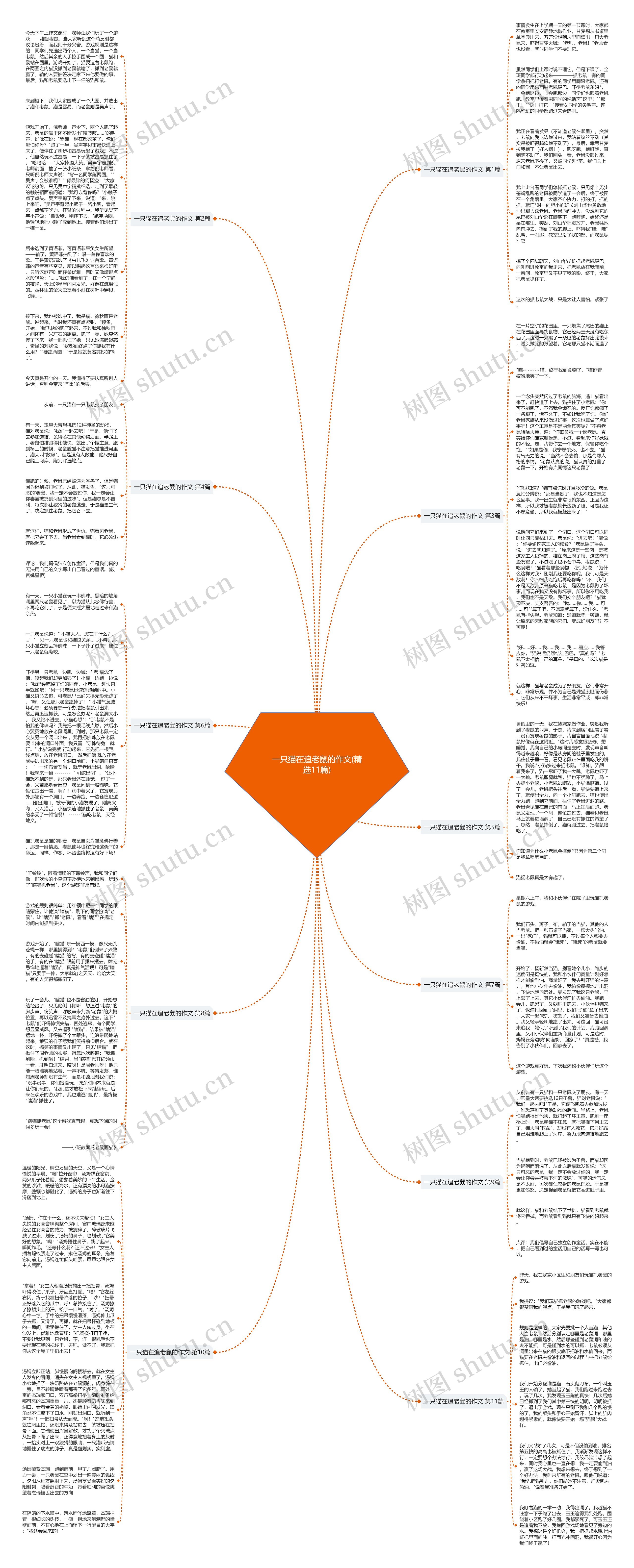 一只猫在追老鼠的作文(精选11篇)思维导图
