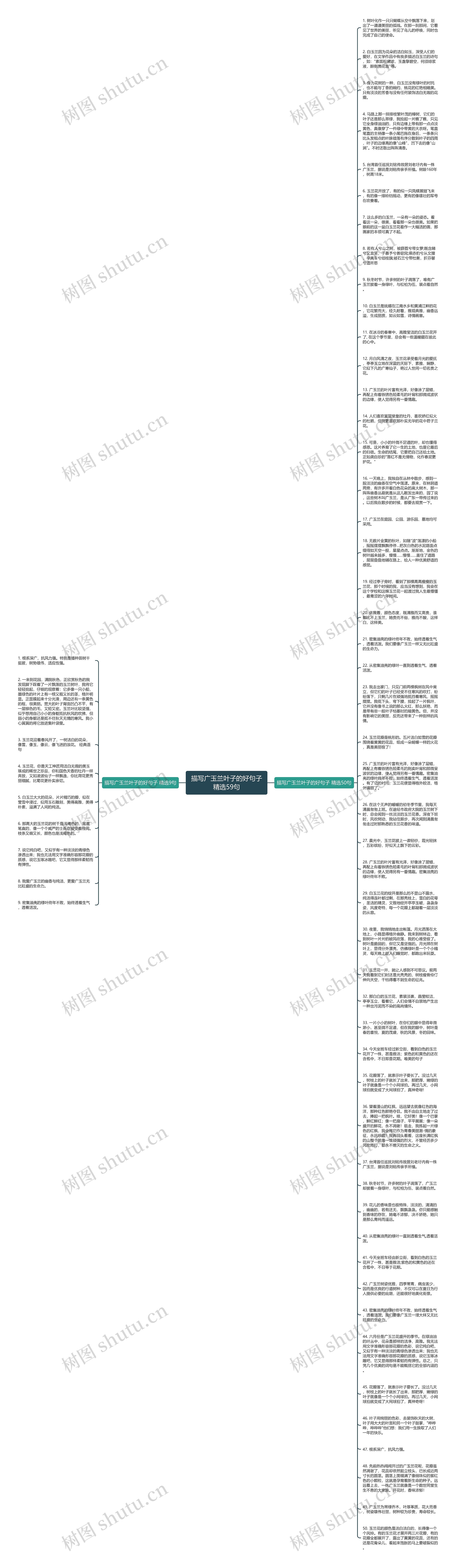 描写广玉兰叶子的好句子精选59句思维导图