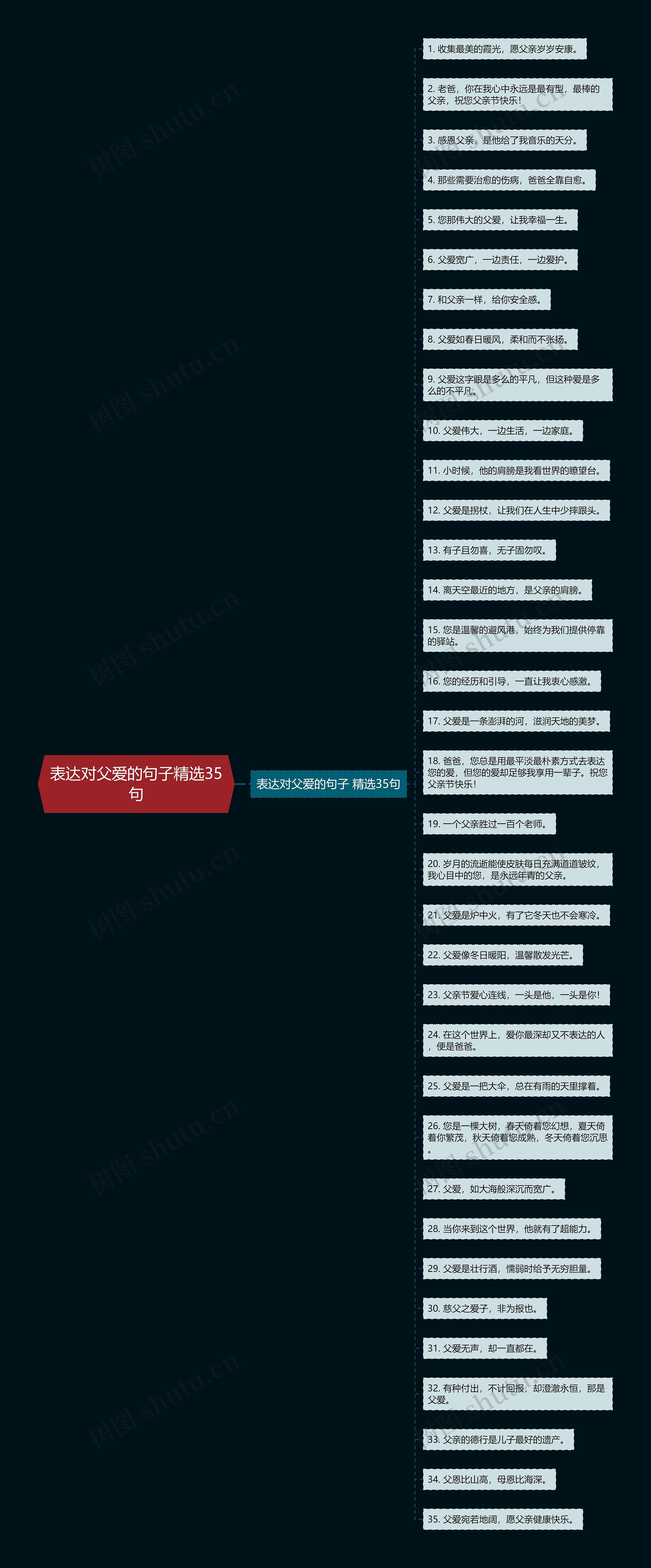 表达对父爱的句子精选35句思维导图