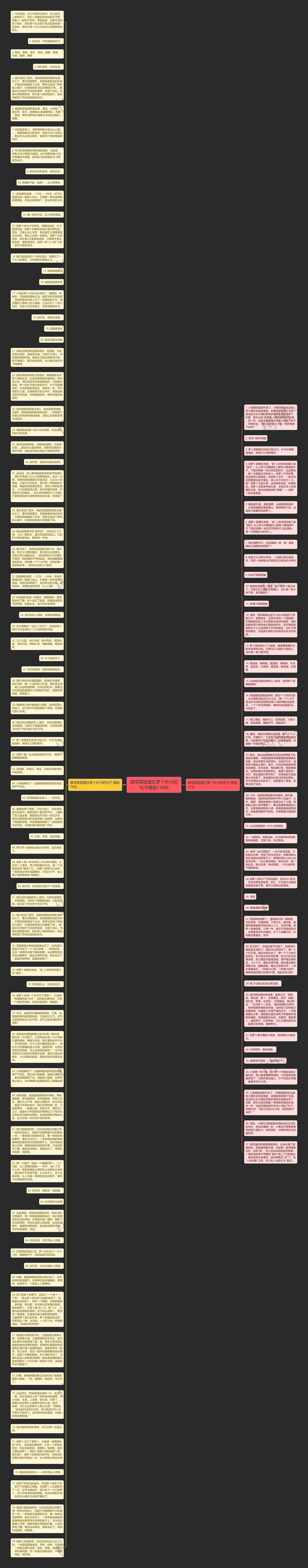 描写菜园里红萝卜叶片的句子精选116句思维导图