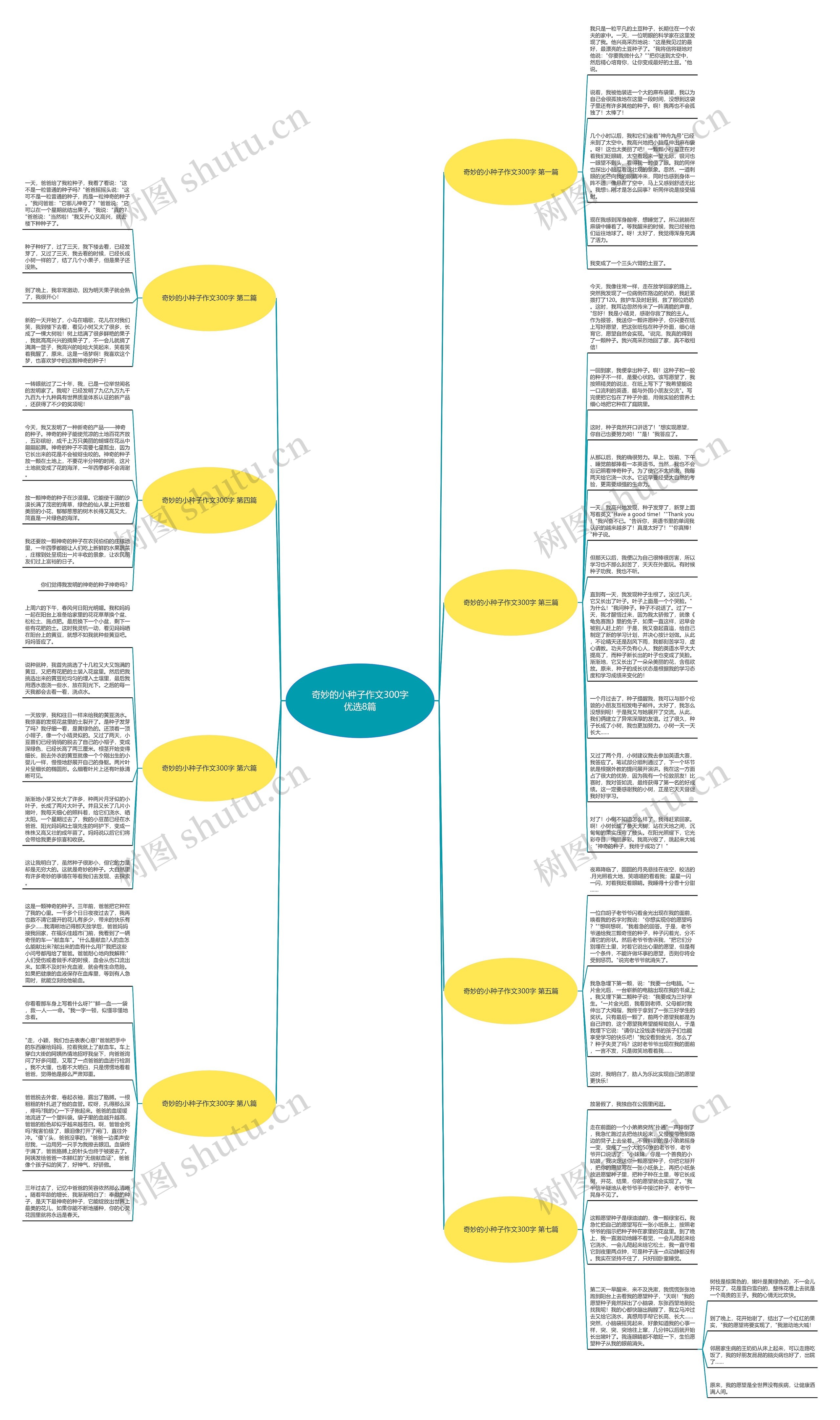 奇妙的小种子作文300字优选8篇思维导图