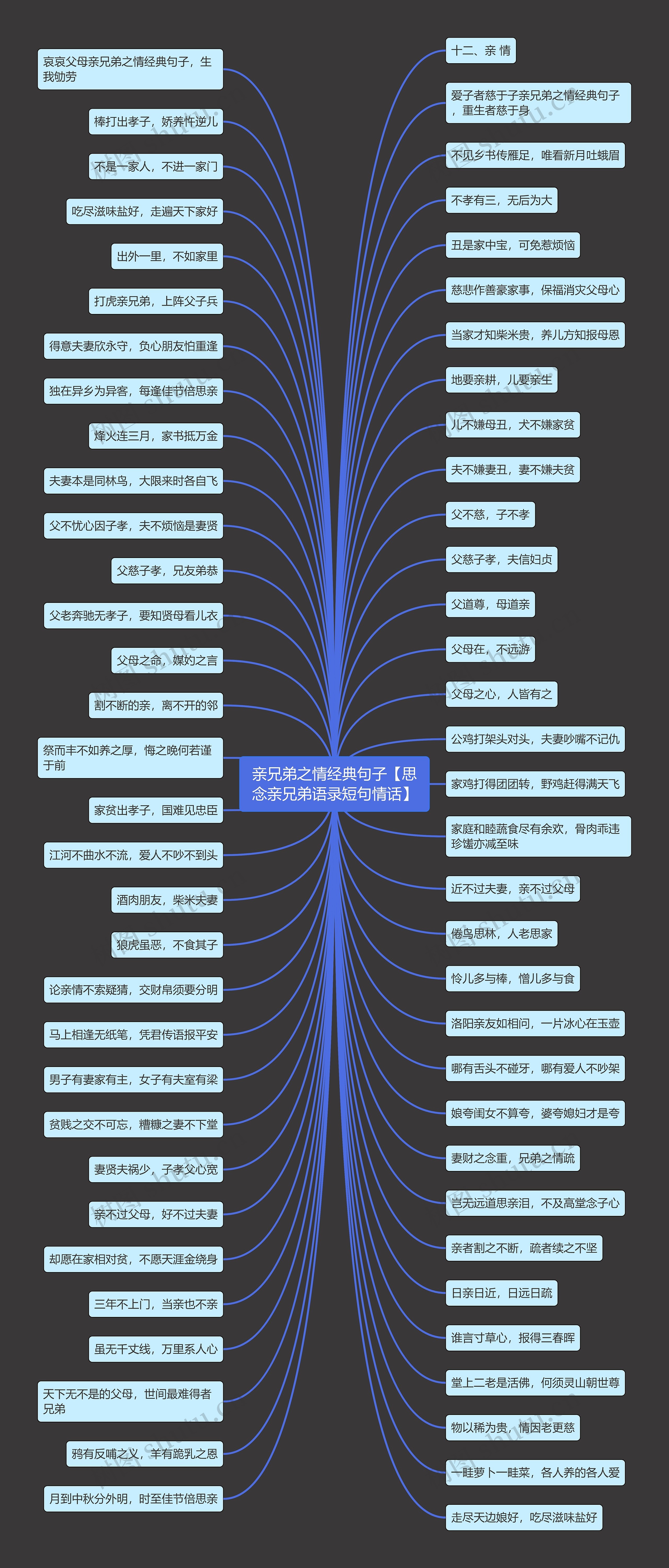 亲兄弟之情经典句子【思念亲兄弟语录短句情话】思维导图