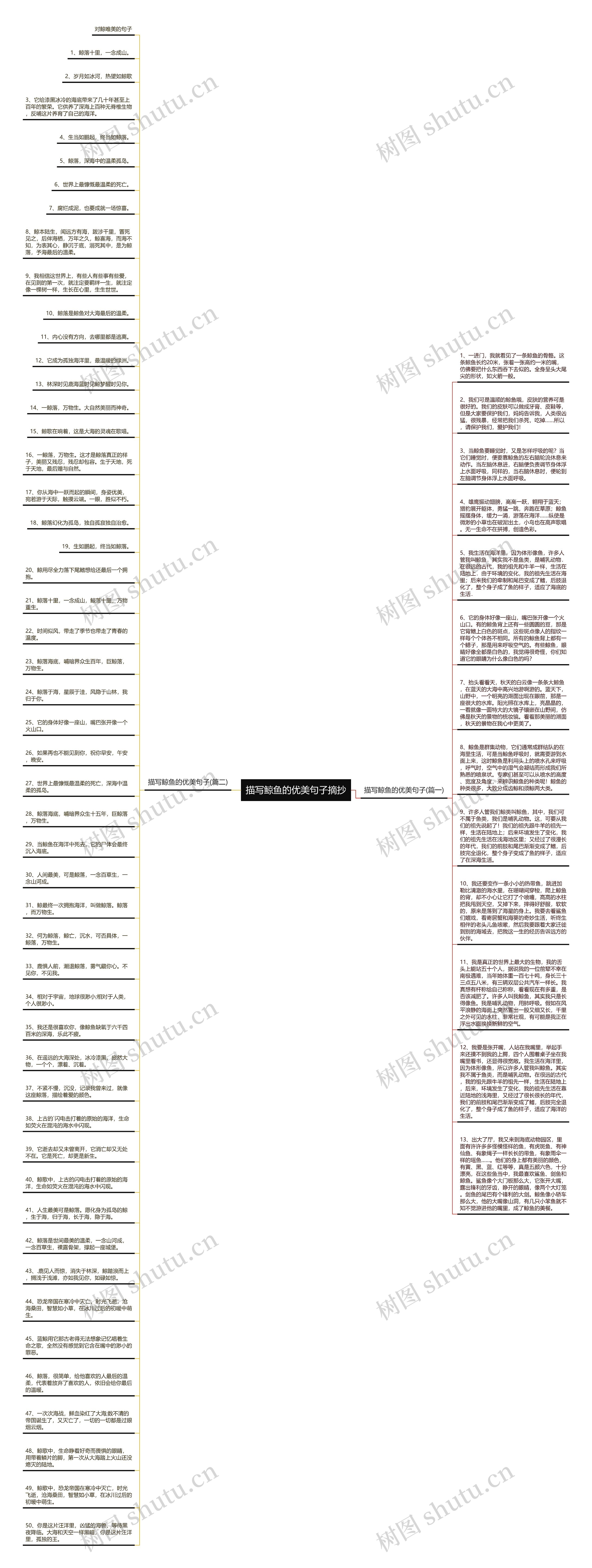描写鲸鱼的优美句子摘抄思维导图