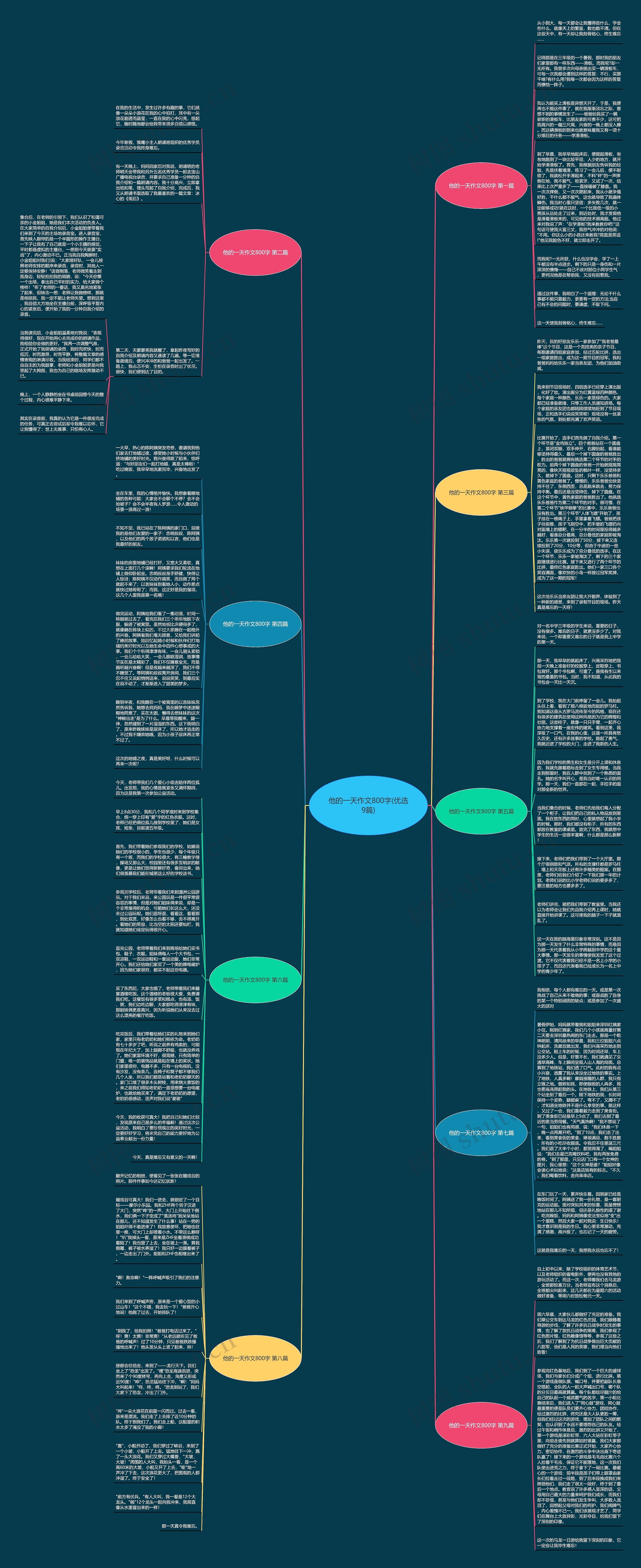他的一天作文800字(优选9篇)思维导图