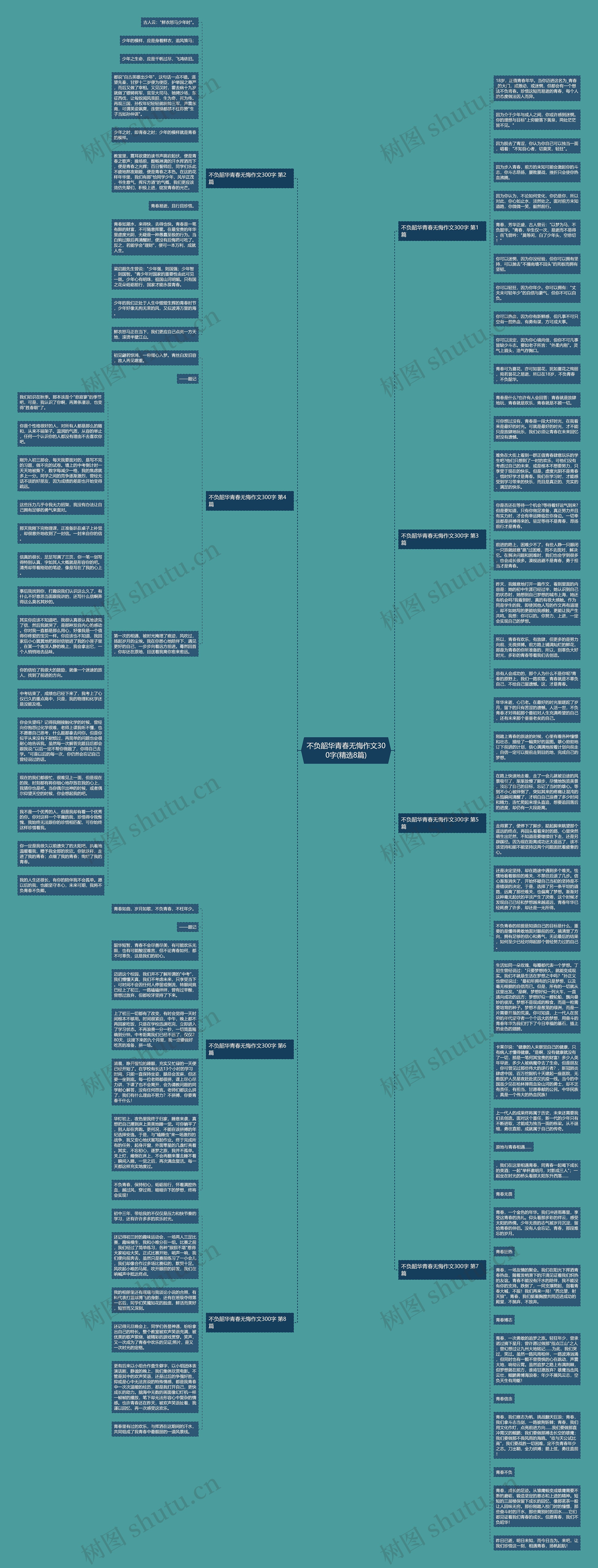 不负韶华青春无悔作文300字(精选8篇)思维导图