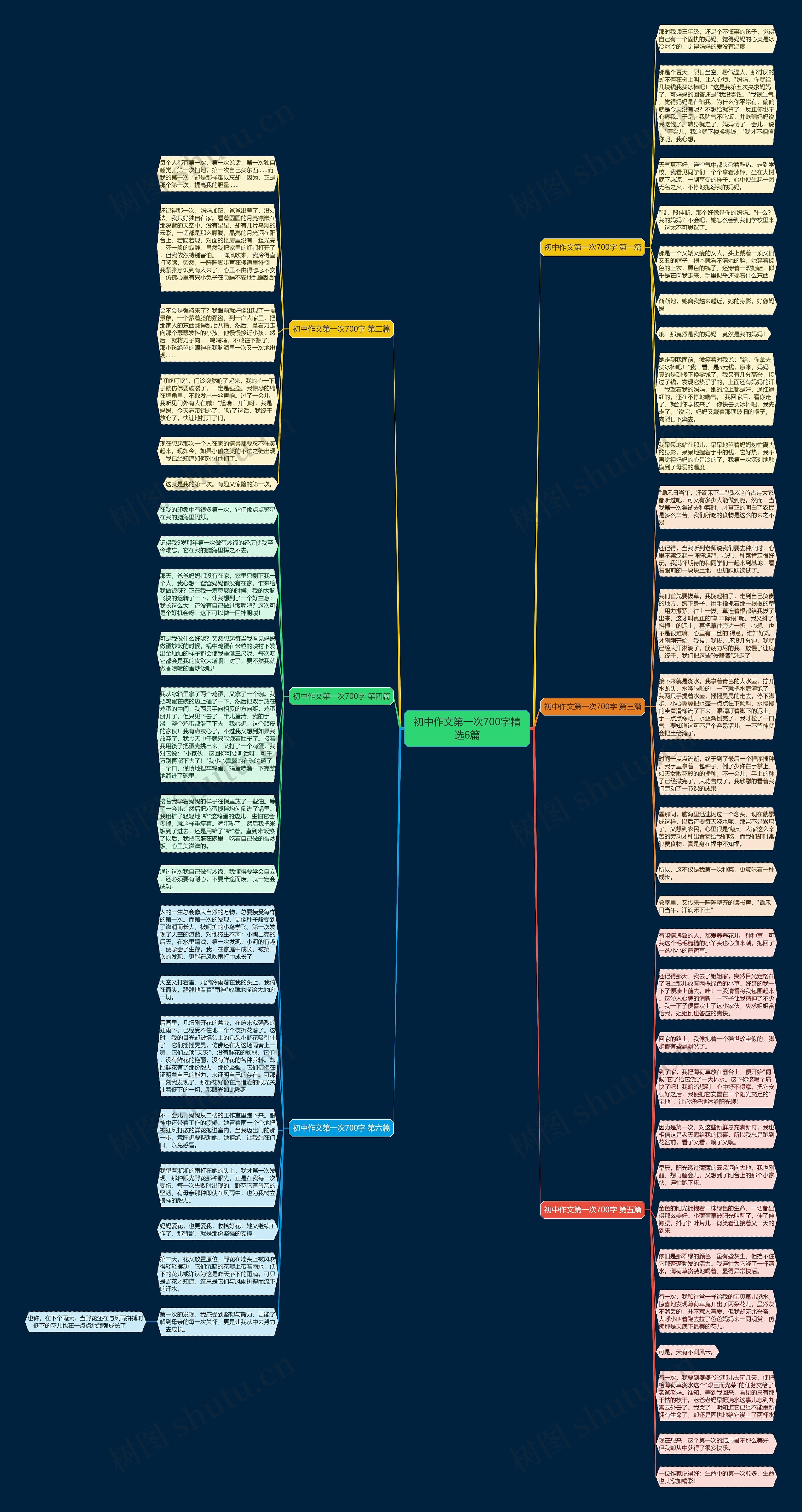 初中作文第一次700字精选6篇思维导图