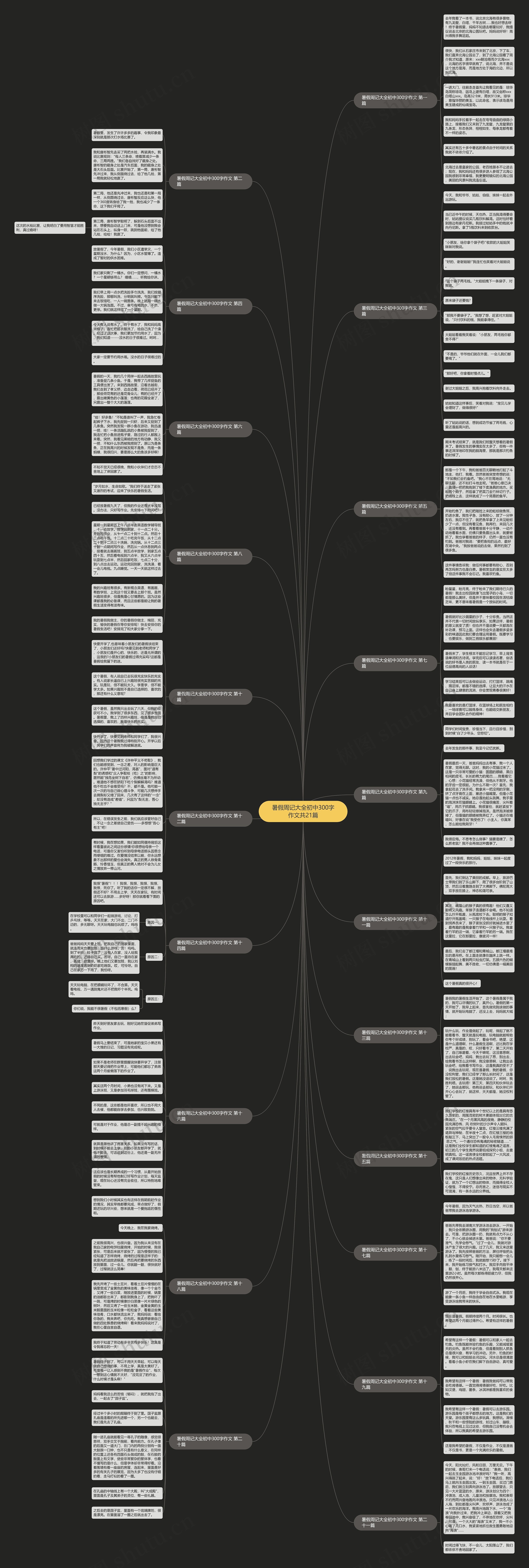 暑假周记大全初中300字作文共21篇思维导图