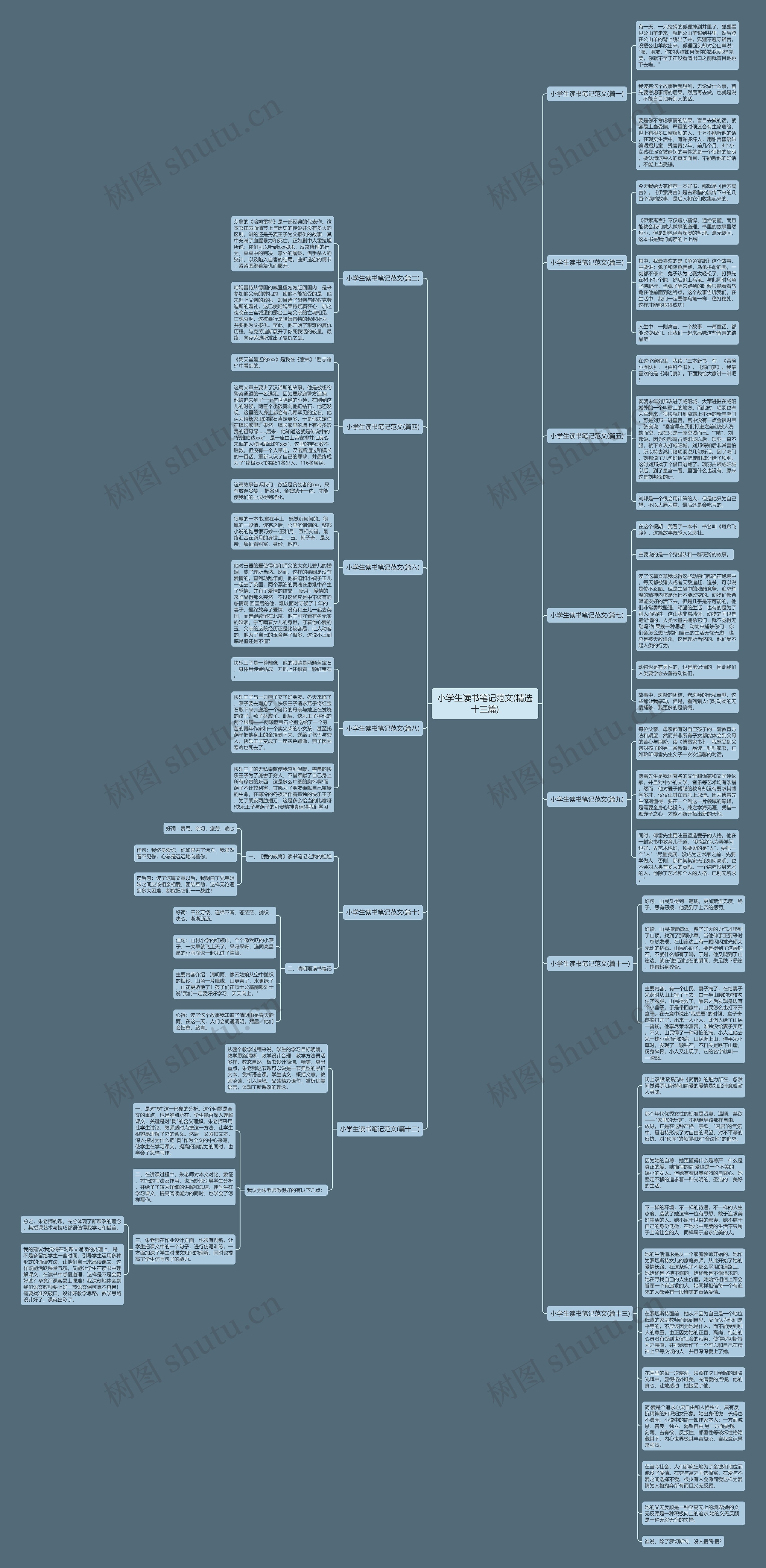 小学生读书笔记范文(精选十三篇)思维导图