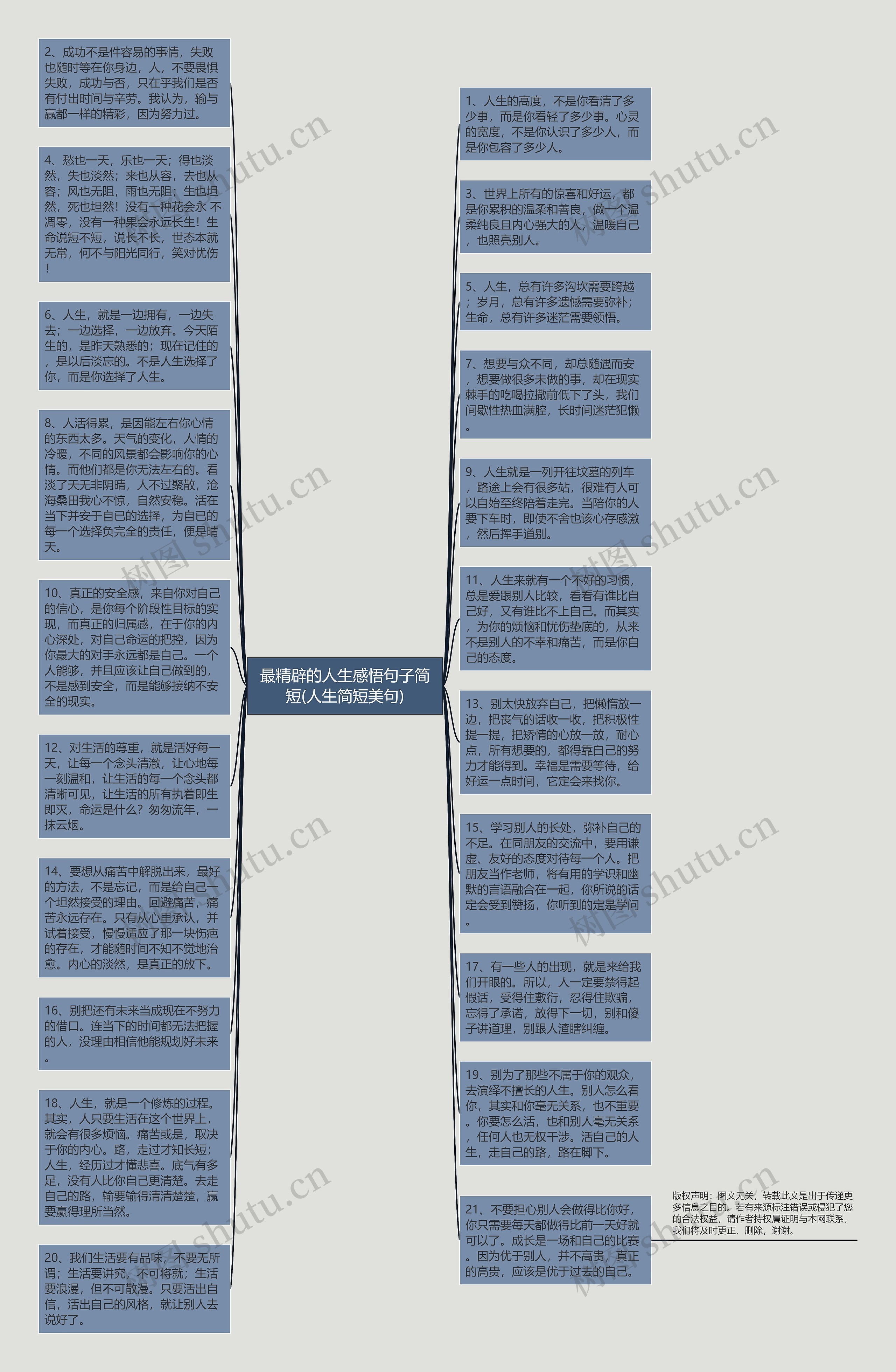 最精辟的人生感悟句子简短(人生简短美句)思维导图