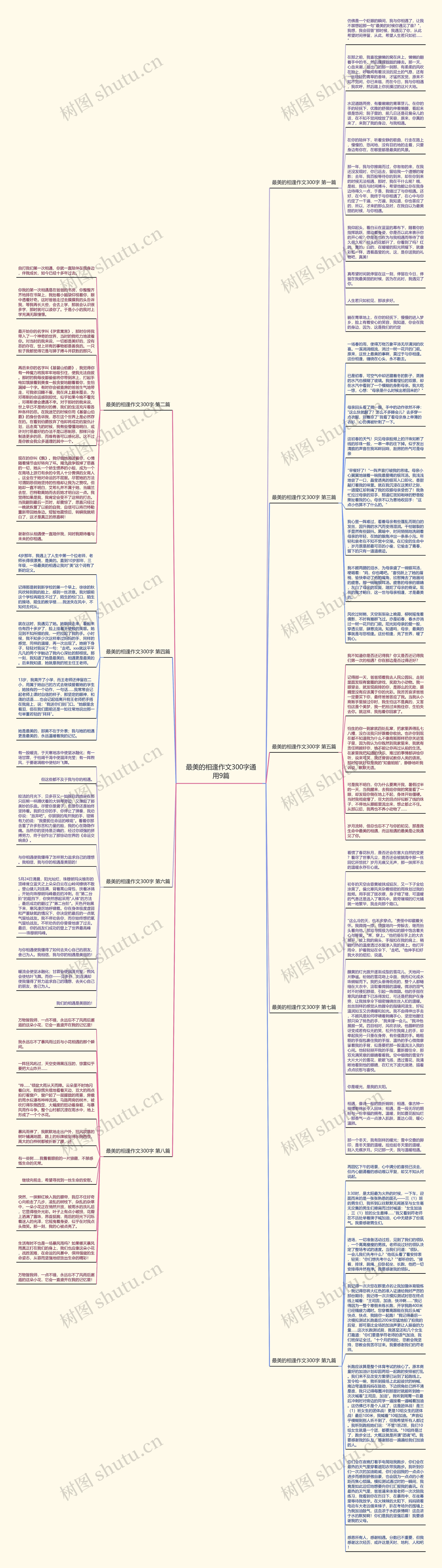 最美的相逢作文300字通用9篇思维导图