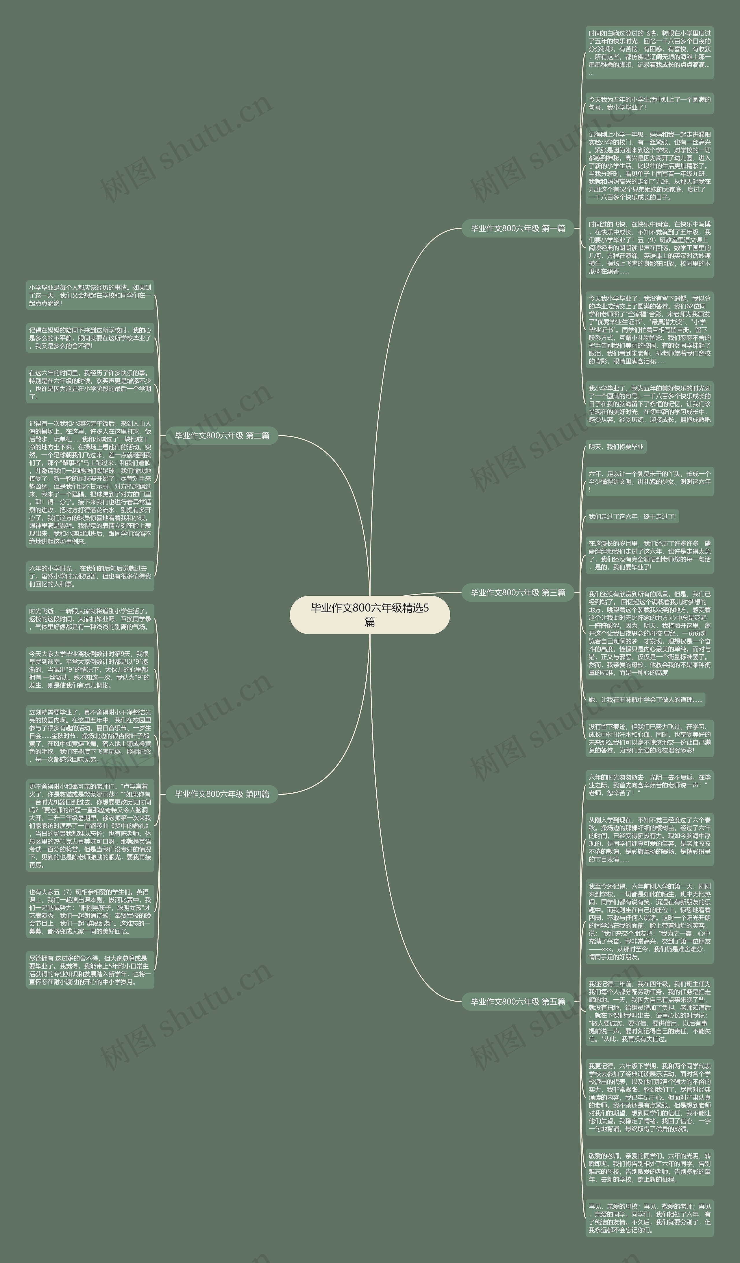 毕业作文800六年级精选5篇思维导图
