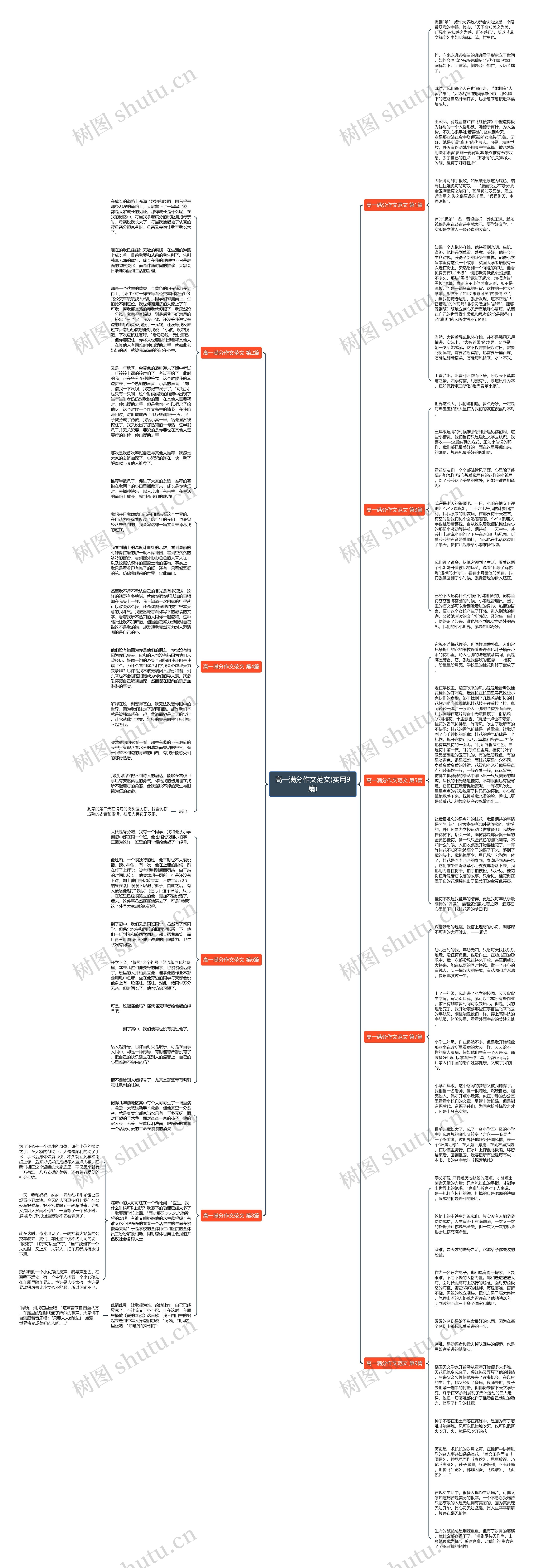 高一满分作文范文(实用9篇)思维导图