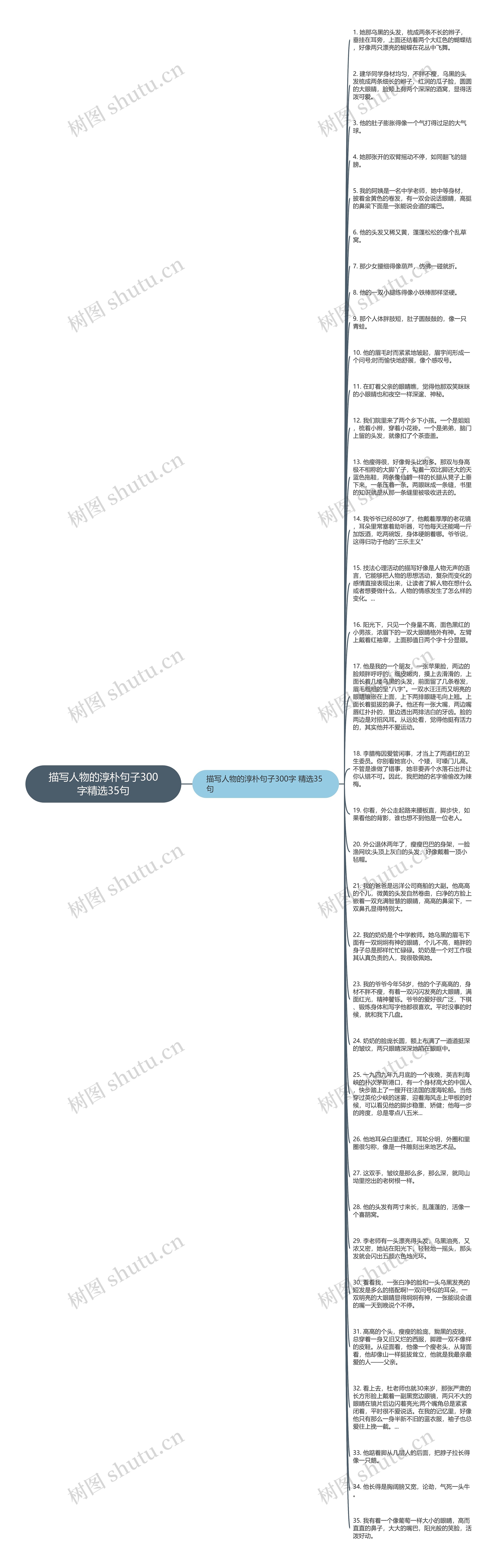 描写人物的淳朴句子300字精选35句思维导图