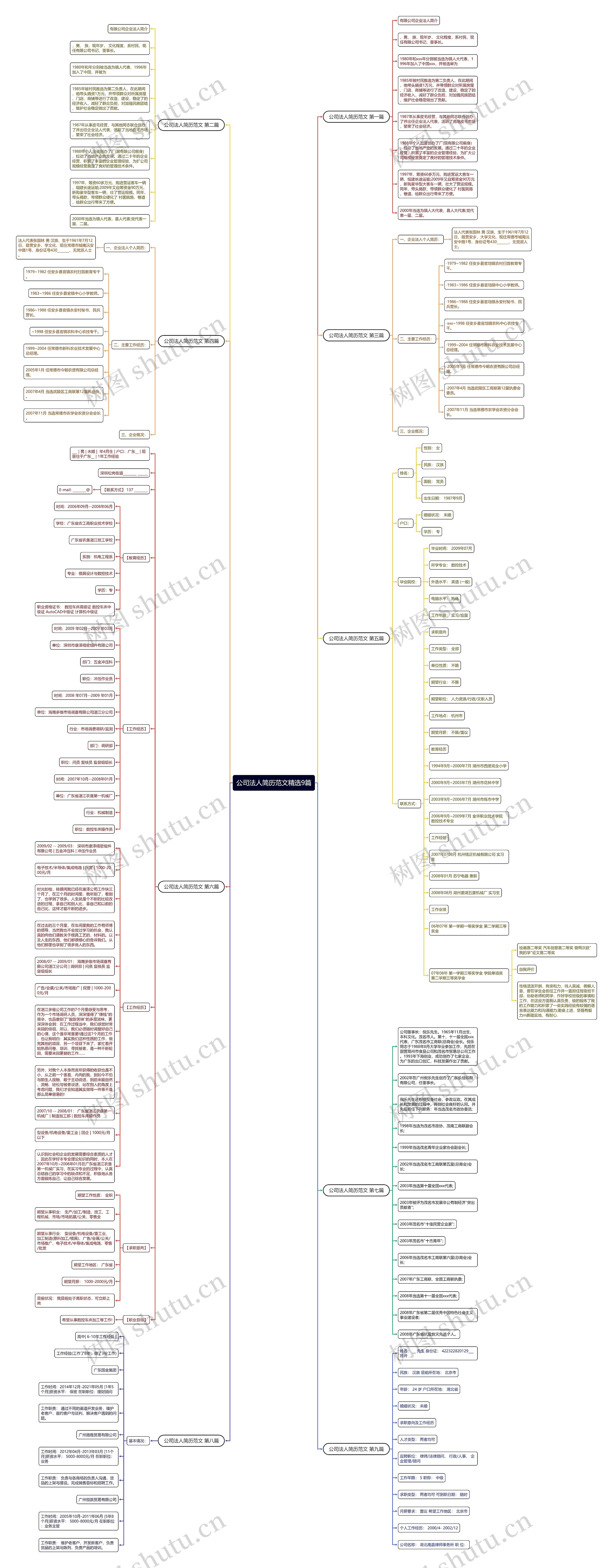公司法人简历范文精选9篇思维导图