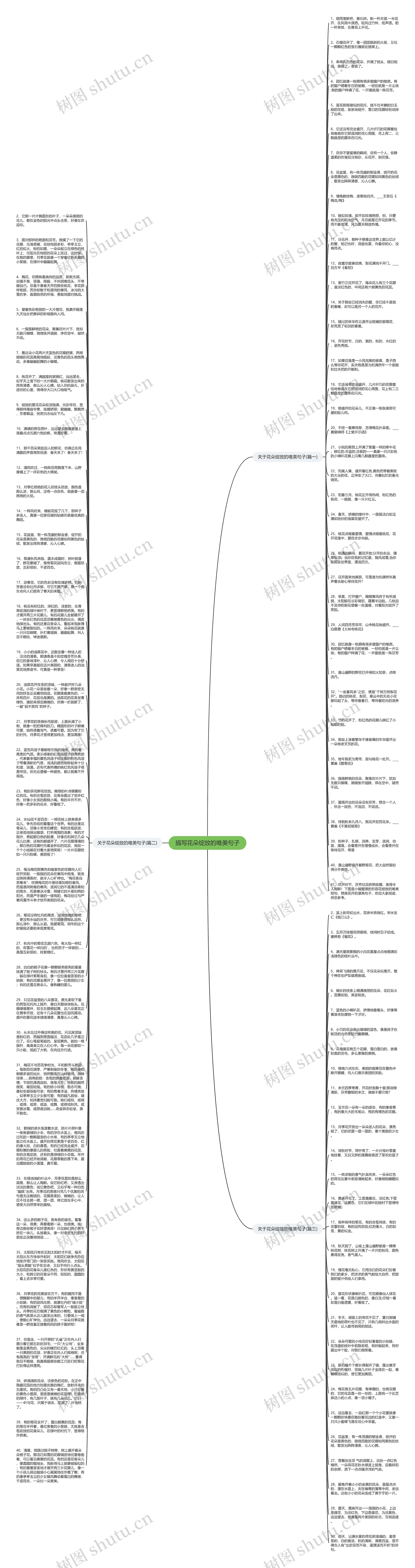 描写花朵绽放的唯美句子思维导图