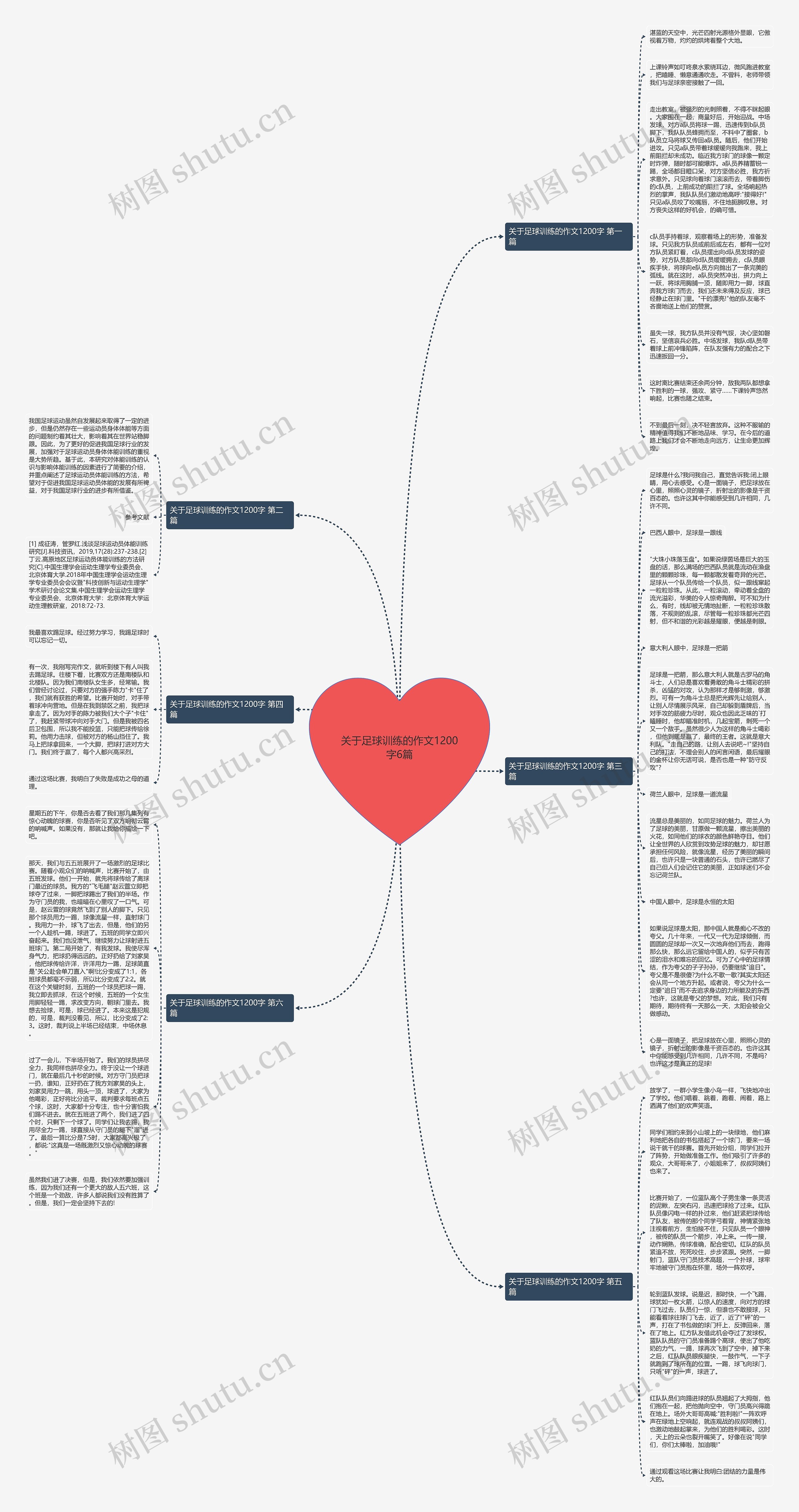关于足球训练的作文1200字6篇思维导图